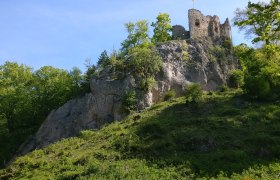 Ruine im Naturpark Sparbach auf einem Felsen mit grüner Vegetation.