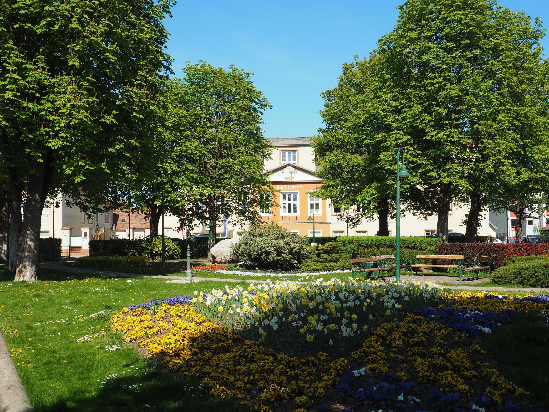 town hall1
