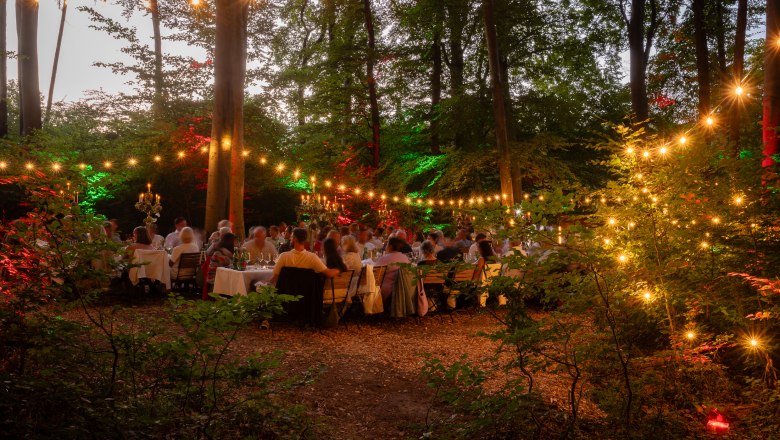 Abendliche Stimmung, © Wienerwald Tourismus/Christian Dusek 