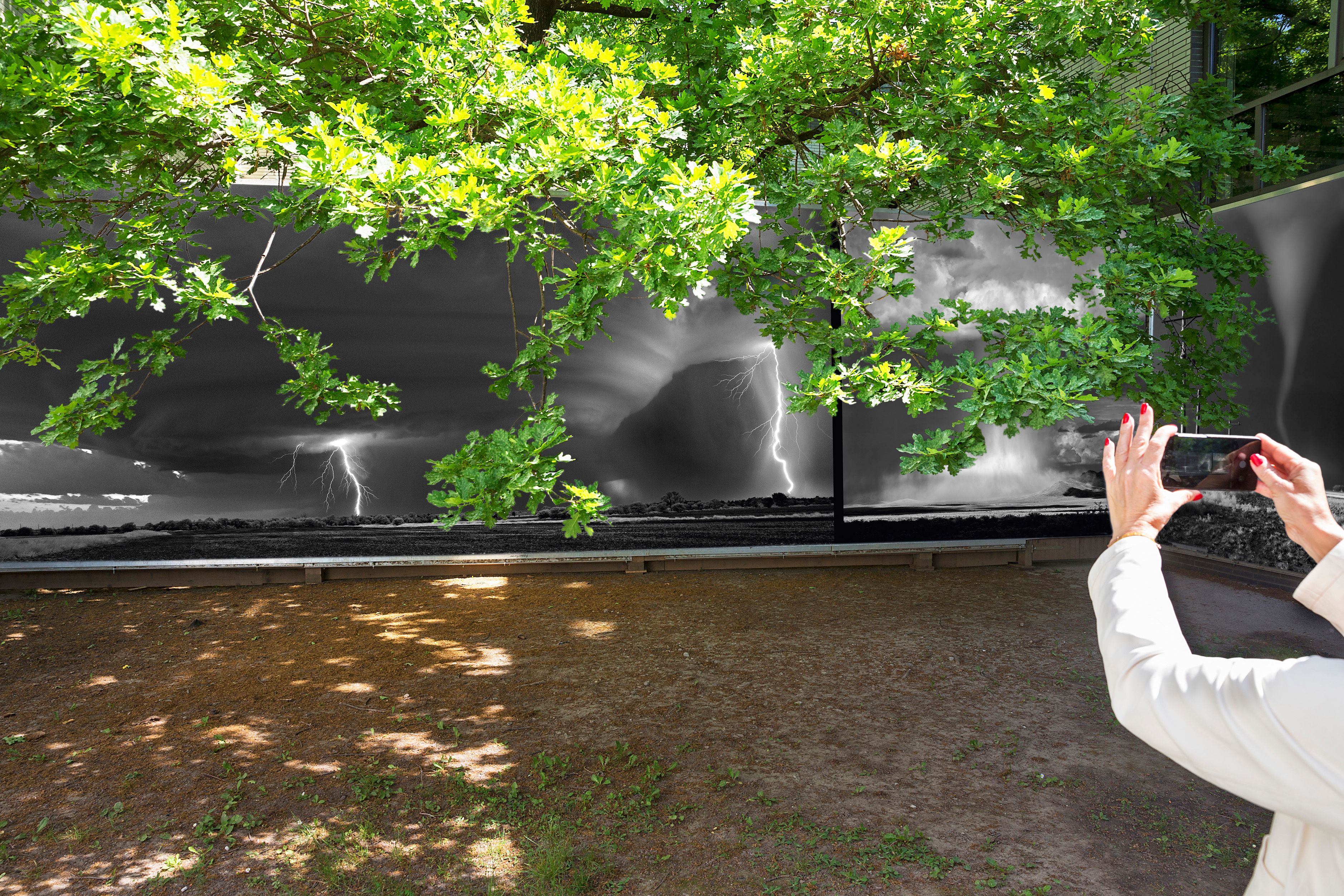 Festival Impression 2025