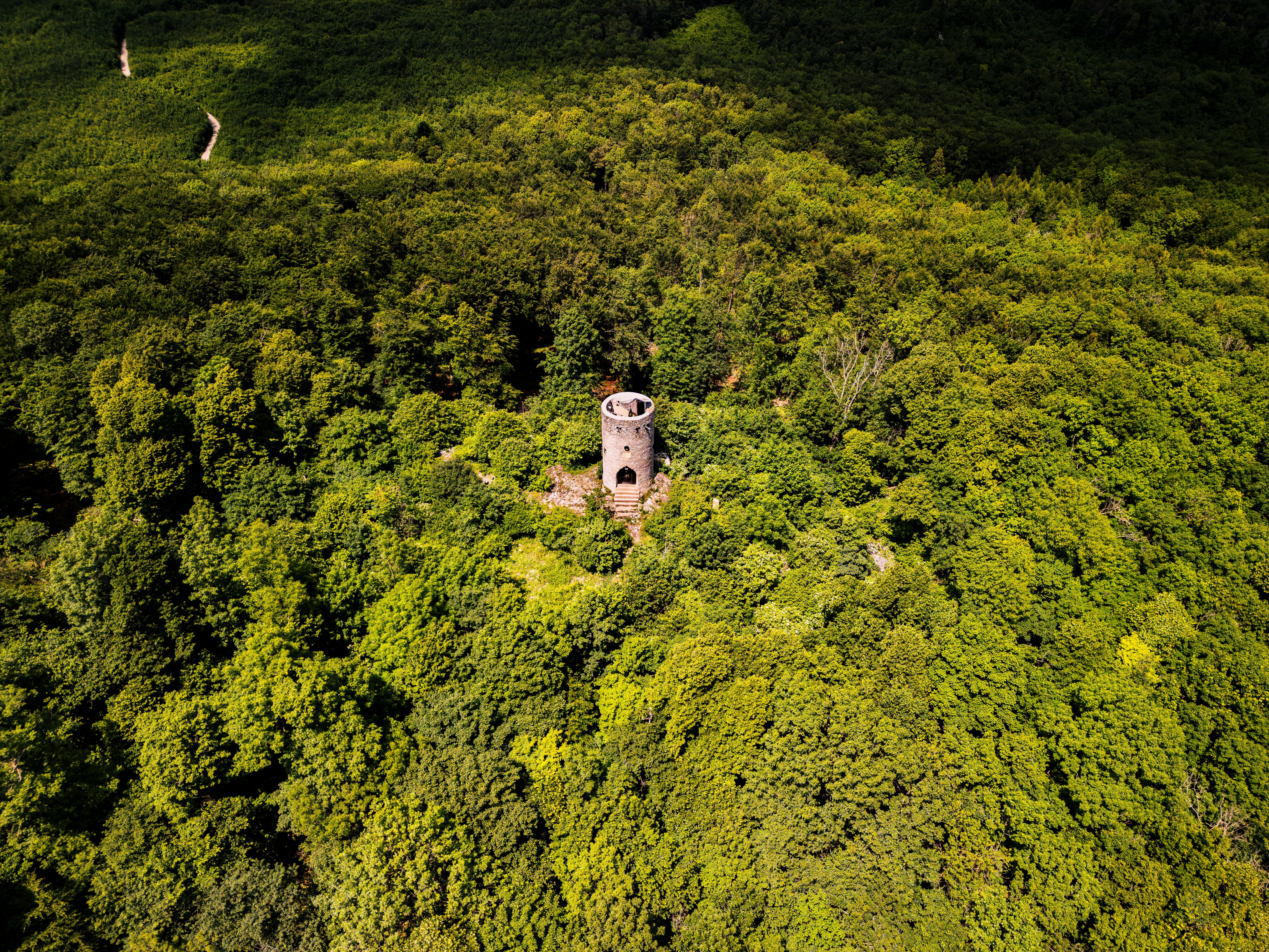 Umgeben von üppigem Grün erhebt sich die Wilhelmswarte majestätisch über die Wälder des Wienerwaldes. Von hier aus eröffnet sich ein atemberaubender Blick auf die sanften Hügel und die malerische Landschaft, die zum Verweilen und Entdecken einlädt. Ein Ort der Ruhe und Inspiration, ideal für Naturliebhaber und Wanderfreunde.