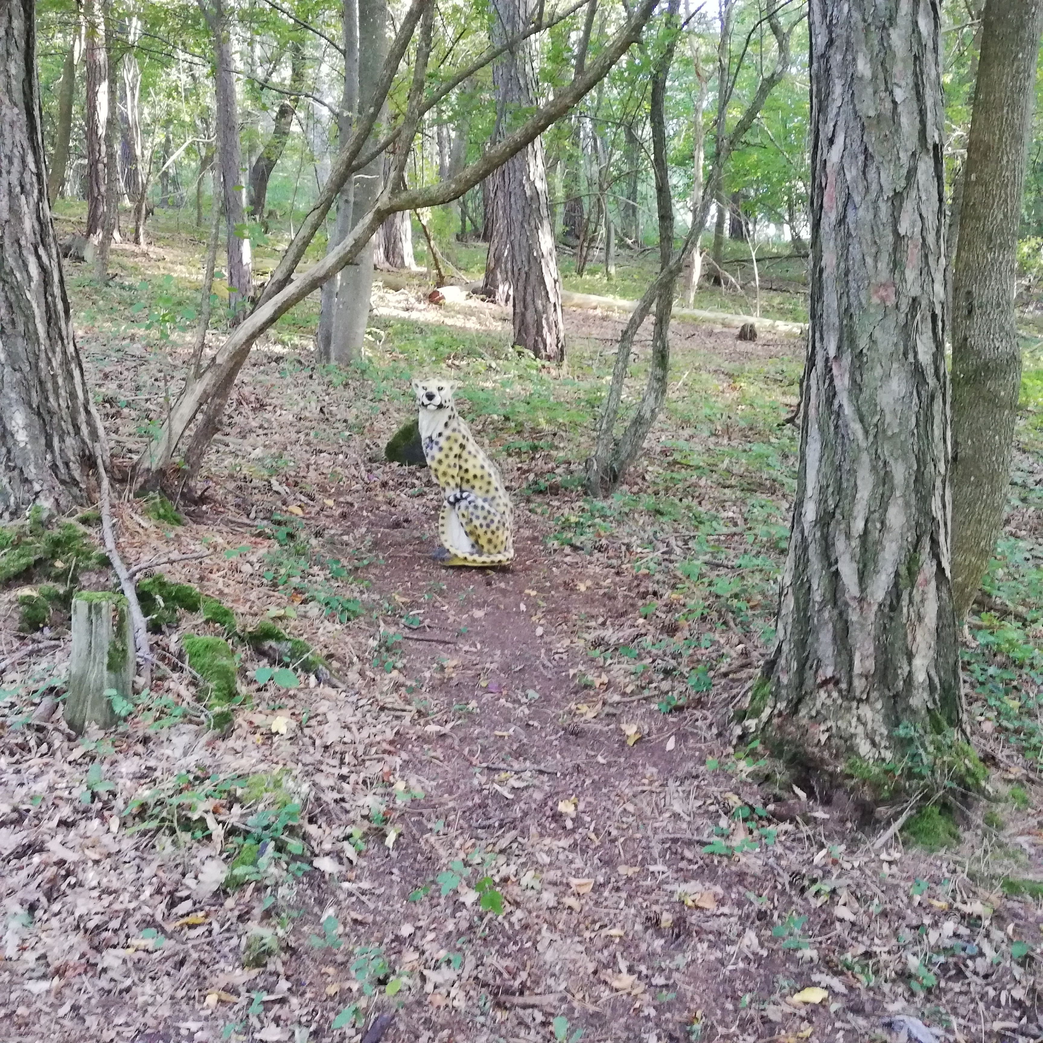 Bogenschieß-Parcours in Nöstach