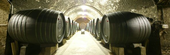 Ein Weinkeller mit großen Holzfässern auf beiden Seiten eines beleuchteten Ganges.