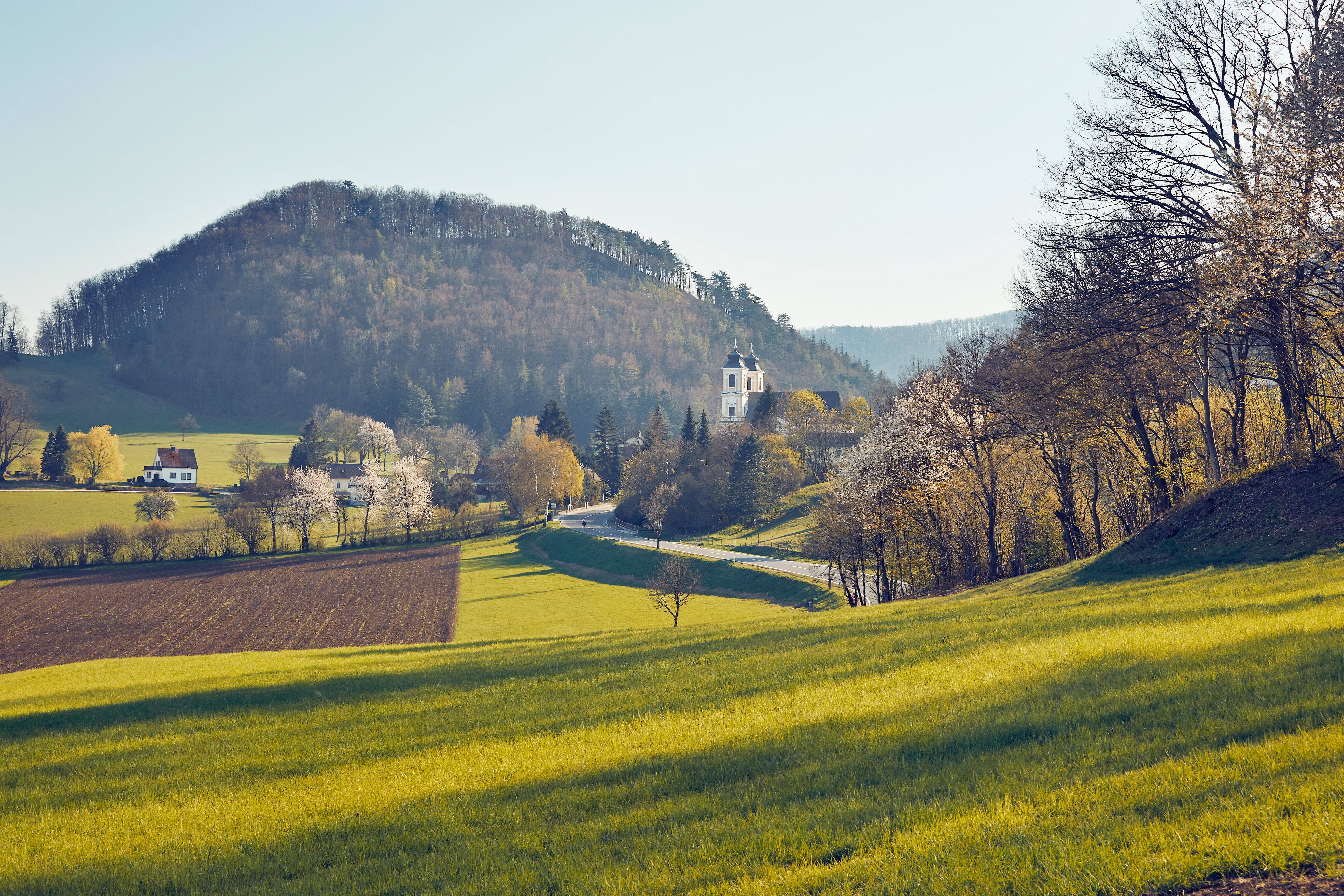 Die sanften Hügel des Triestingtals laden zu einem entspannenden Spaziergang ein, während die Wiesen in warmen Herbsttönen leuchten. Die klare Luft und die malerische Landschaft schaffen eine harmonische Atmosphäre, die zum Verweilen einlädt.