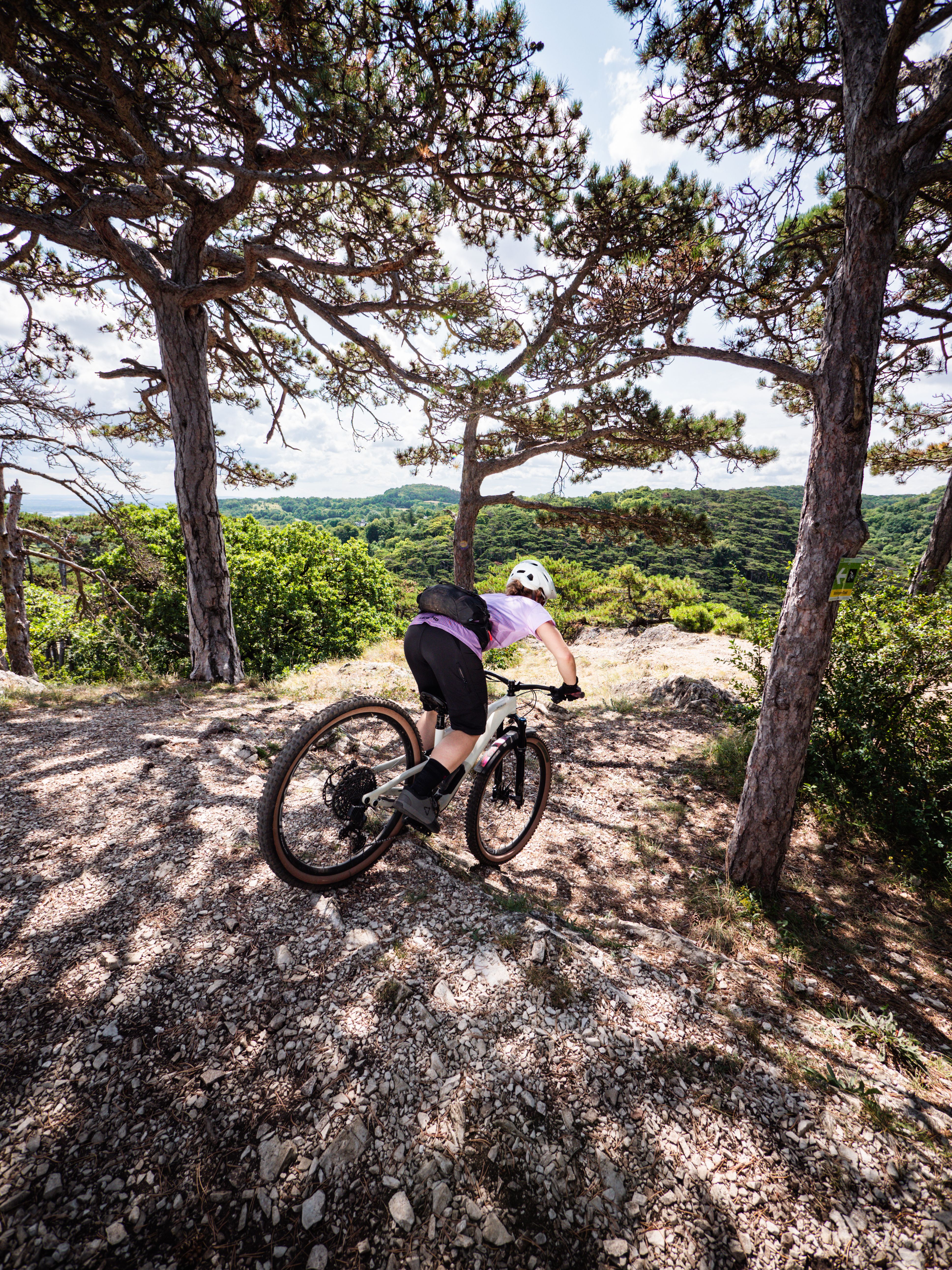Ein begeisterter Mountainbiker meistert den herausfordernden Anninger Trail, umgeben von majestätischen Bäumen und einer atemberaubenden Aussicht auf die grüne Landschaft. Die frische Bergluft und das Rauschen der Blätter schaffen eine perfekte Kulisse für ein unvergessliches Abenteuer in der Natur.