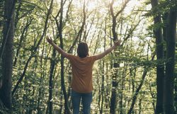 Inmitten des dichten Waldes breitet sich ein Gefühl von Freiheit und Ruhe aus. Die sanften Sonnenstrahlen durchdringen das Blätterdach und tauchen die Umgebung in ein warmes Licht, während die frische Luft die Sinne belebt. Ein idealer Ort, um die Natur zu genießen und neue Energie zu tanken.
