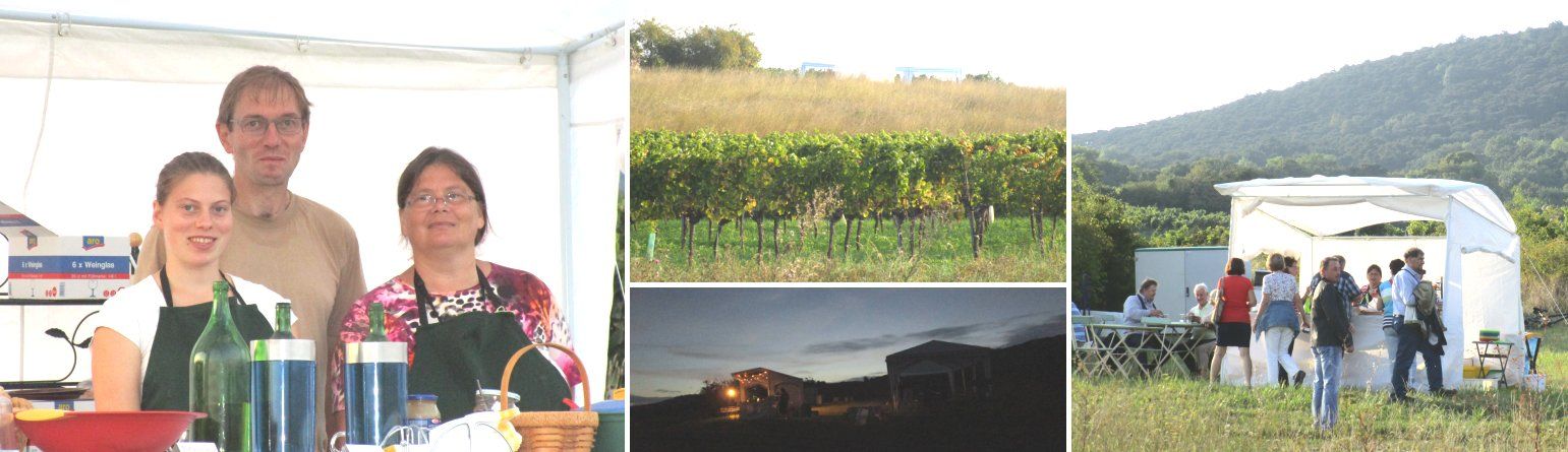 Menschen an einem Stand auf der Genussmeile 2014, Weinreben und Landschaft im Hintergrund.