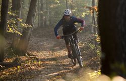 Ein Mountainbiker gleitet mit Schwung über den schmalen Pfad, umgeben von den sanften Hügeln des Wienerwaldes. Die warmen Sonnenstrahlen durchdringen das dichte Blätterdach und schaffen eine magische Atmosphäre, die zum Abenteuer einlädt. Hier, inmitten der Natur, wird jeder Moment zu einem unvergesslichen Erlebnis.