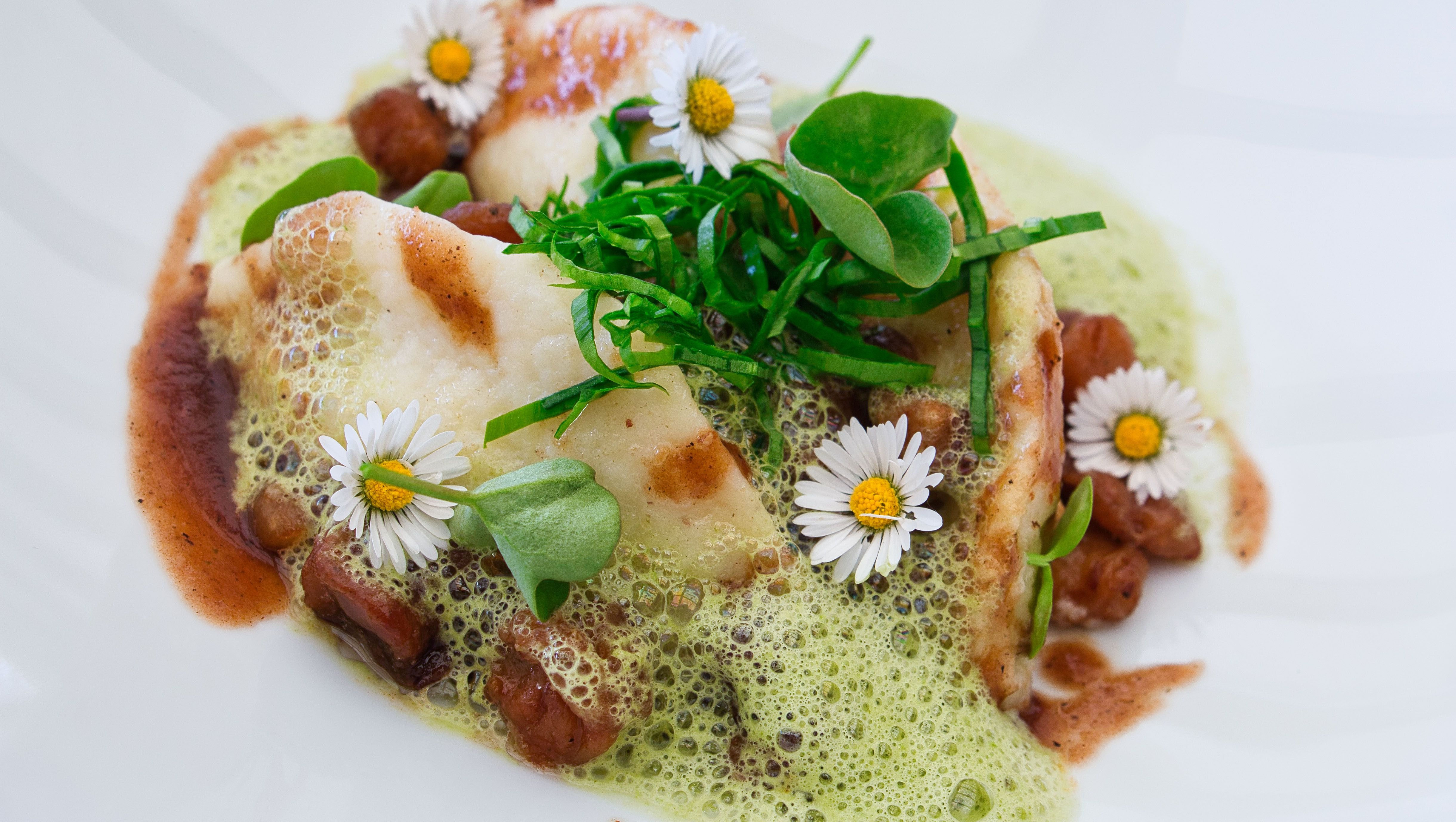 Gourmetgericht mit grünem Schaum, Gänseblümchen und Kräutern auf einem weißen Teller angerichtet.
