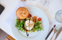 Mozzarella auf frischem Rucola mit halbierten Cocktailtomaten als Gang der Oldtimer Genusstour beim Heurigen, angerichtet auf einem weißen Tisch.