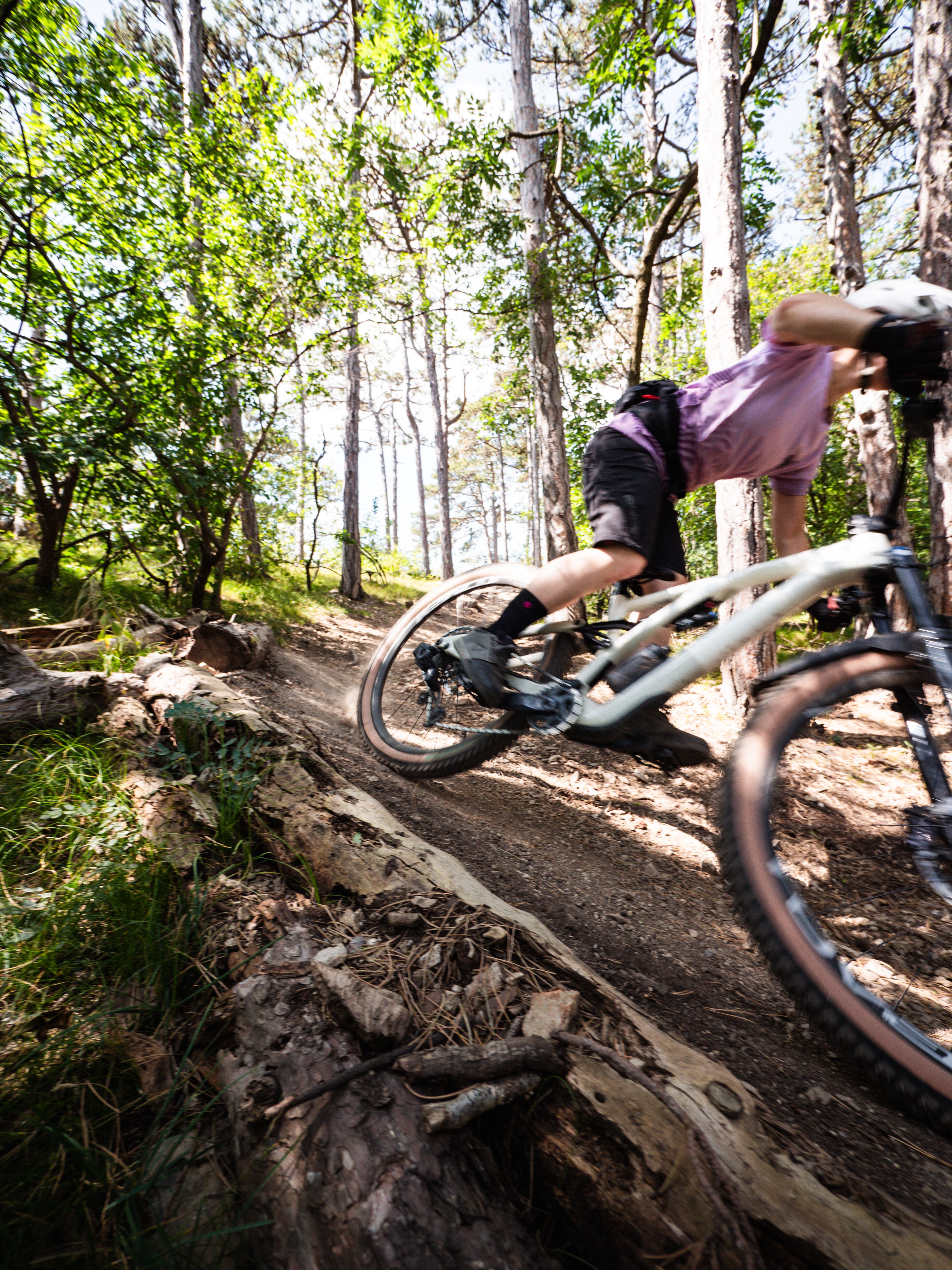 Ein Mountainbiker saust mit voller Geschwindigkeit über einen schmalen Pfad, umgeben von üppigem Grün und hohen Bäumen. Die frische Luft und das Rauschen der Blätter schaffen eine aufregende Atmosphäre, die das Abenteuer in der Natur perfekt einfängt.