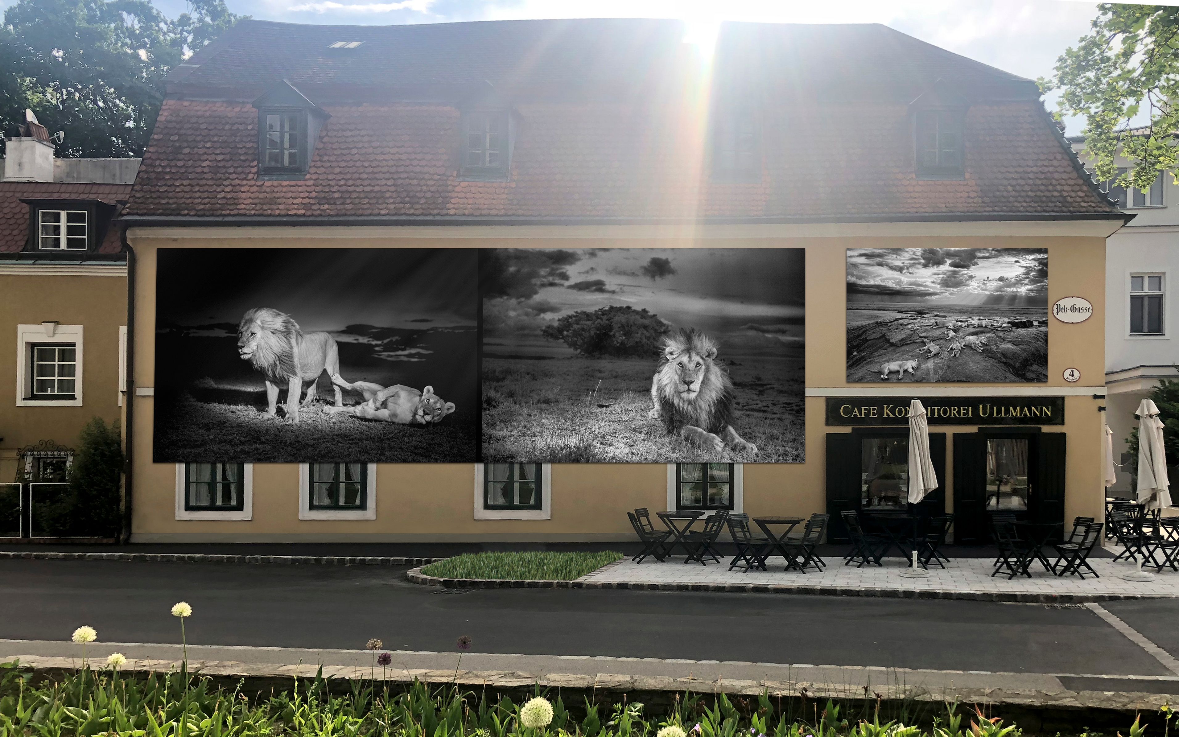Festival Impression 2019
