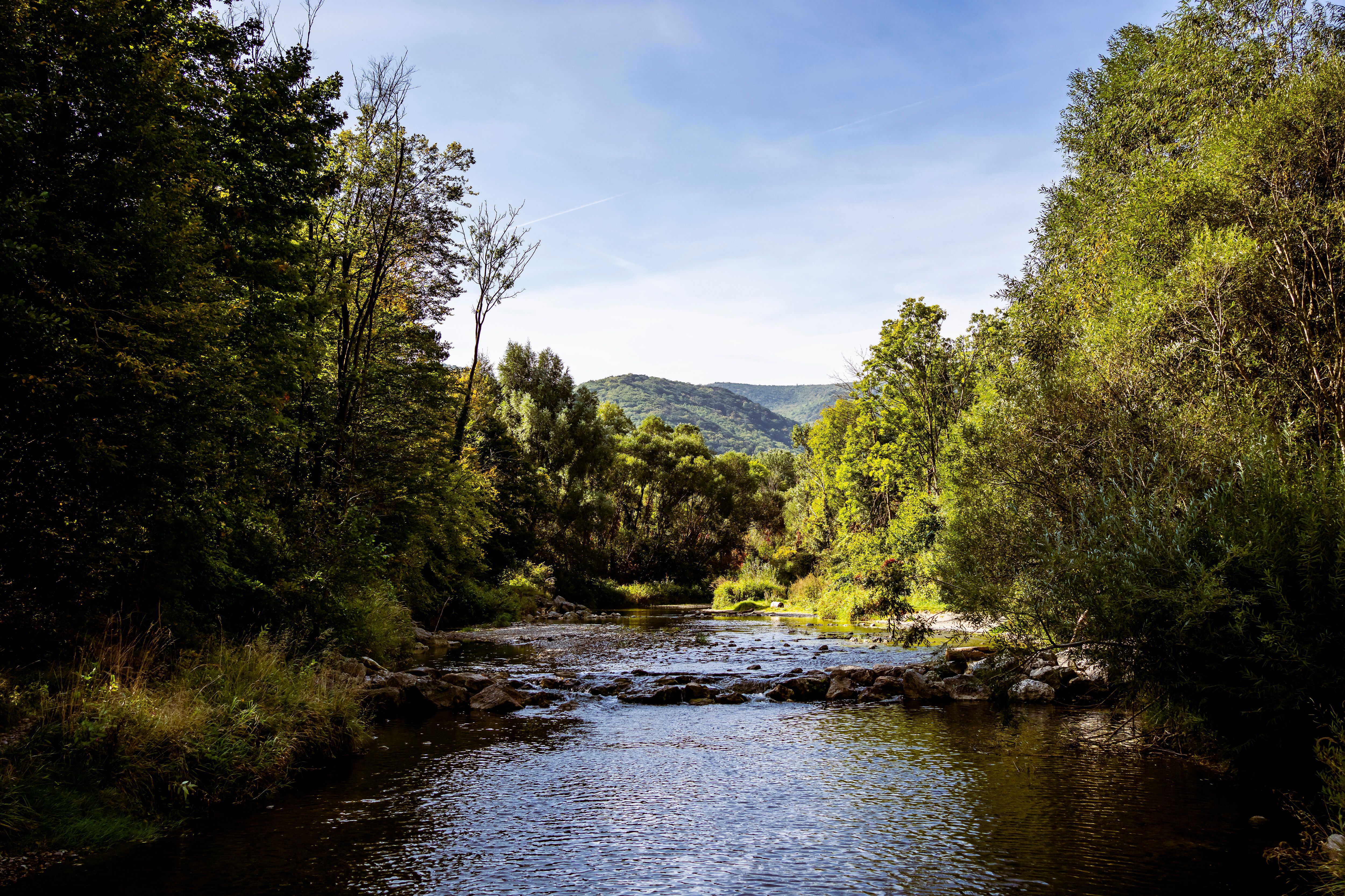Ein sanfter Fluss schlängelt sich durch die üppige, grüne Landschaft des Helenentals, umgeben von majestätischen Bäumen und sanften Hügeln. Die ruhige Atmosphäre lädt dazu ein, die frische Luft zu genießen und die Schönheit der Natur zu erleben.