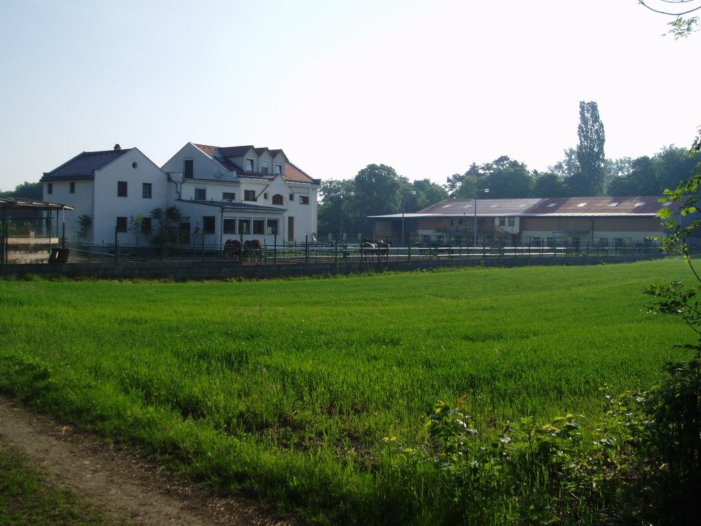 Rückansicht eines großen weißen Hauses mit angrenzendem Stall und grüner Wiese im Vordergrund.
