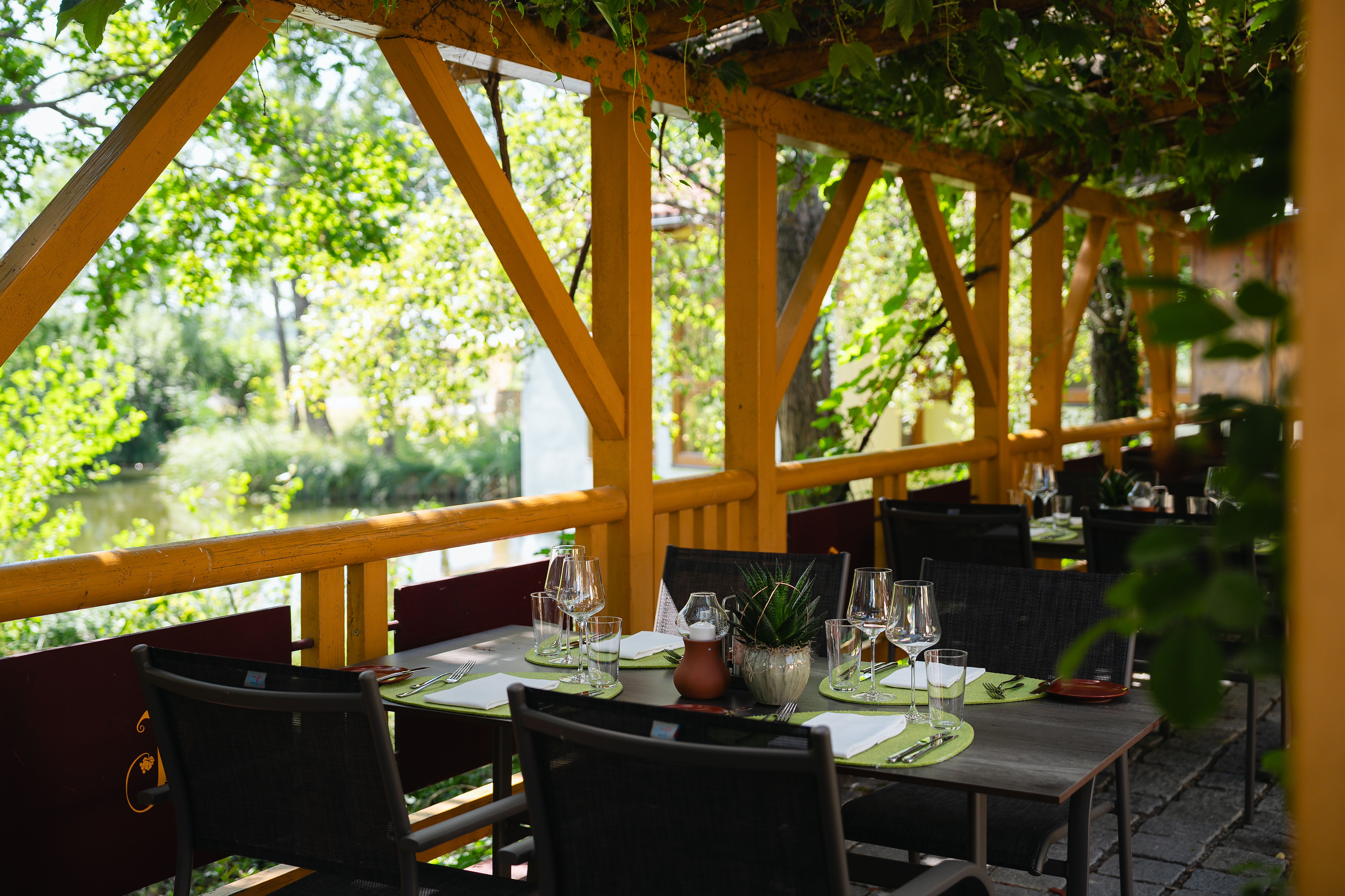 Der Gastgarten von Thomas im Johanneshof mit gedeckten Tischen, umgeben von Weinreben und Blick auf die hügelige Landschaft der Thermenregion.