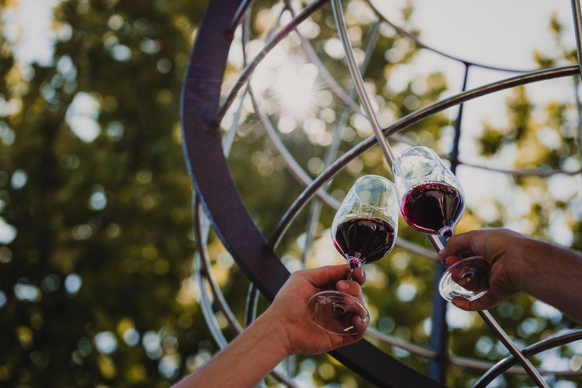 Anstoßende Rotweingläser vor einem dichten Baum an einem warmen Sommertag.