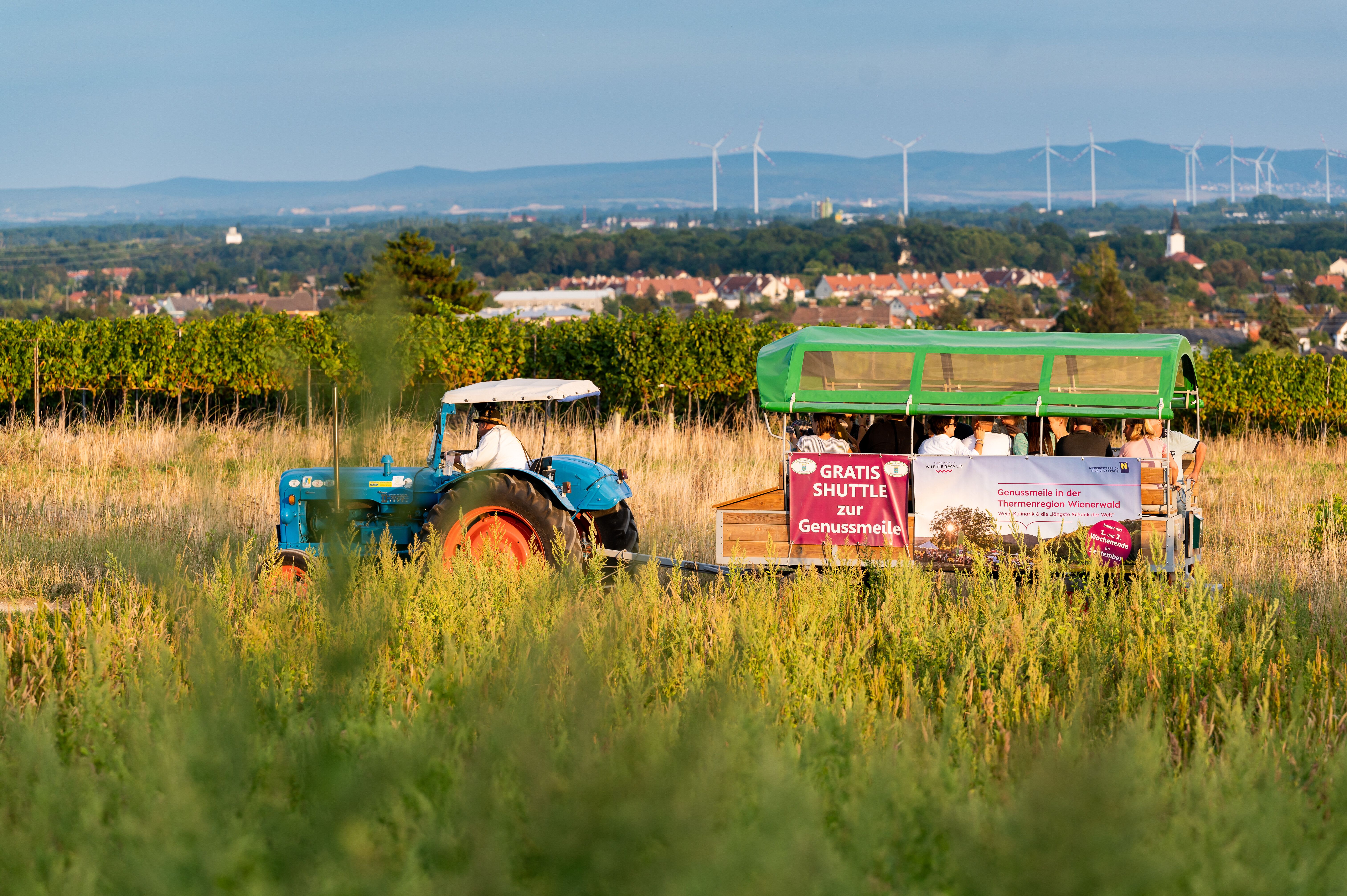 Inmitten der sanften Hügel und üppigen Weinreben gleitet ein nostalgischer Traktor durch die malerische Landschaft. Die warme Abendsonne taucht die Szene in goldenes Licht und lädt dazu ein, die köstlichen Spezialitäten der Region zu entdecken. Ein unvergessliches Erlebnis für alle, die die Schönheit der Natur und die Freude am Genuss verbinden möchten.