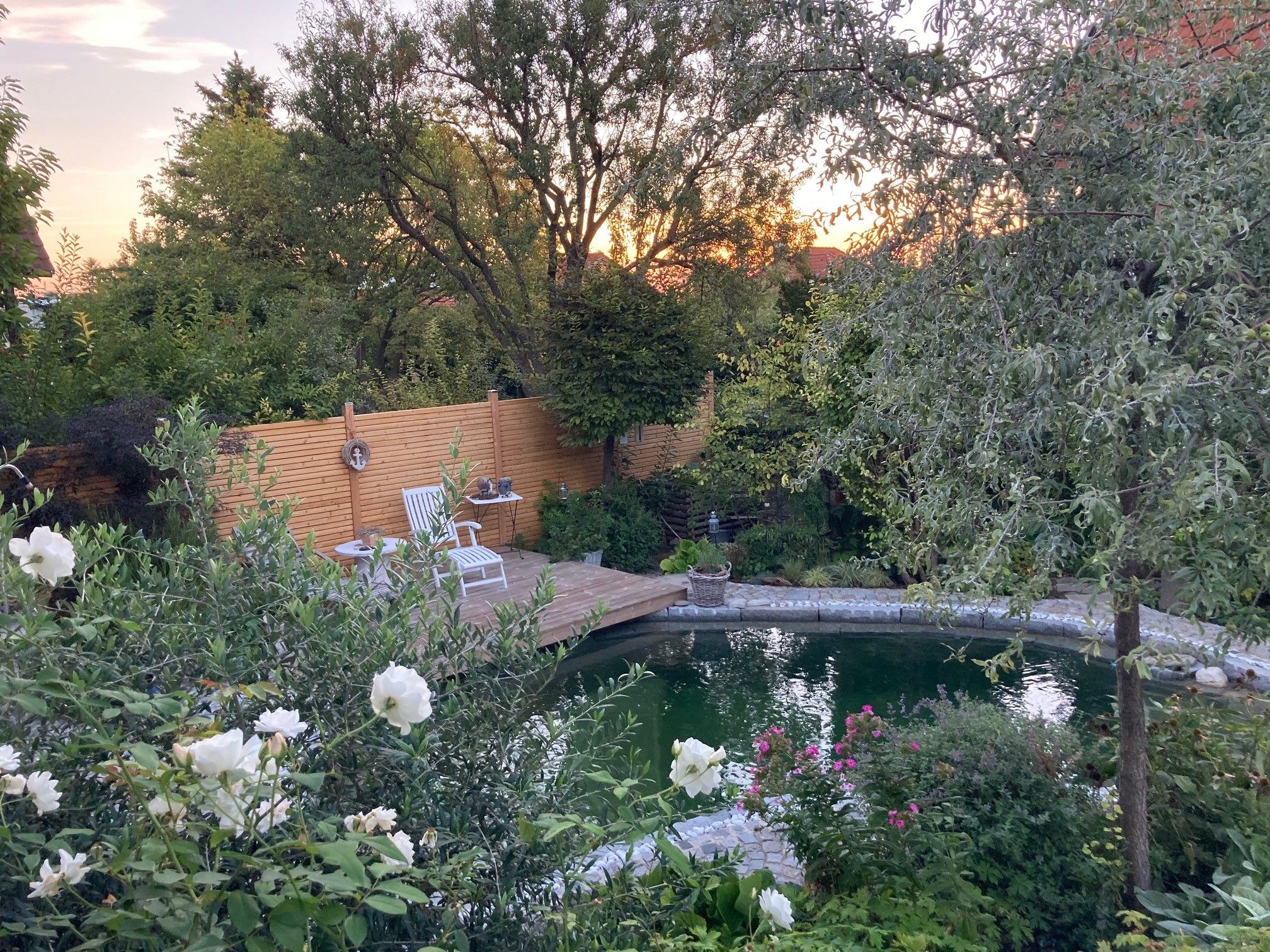 Ein idyllischer Garten mit Teich, Holzterrasse und weißen Gartenstühlen, umgeben von üppiger Vegetation und blühenden Blumen.