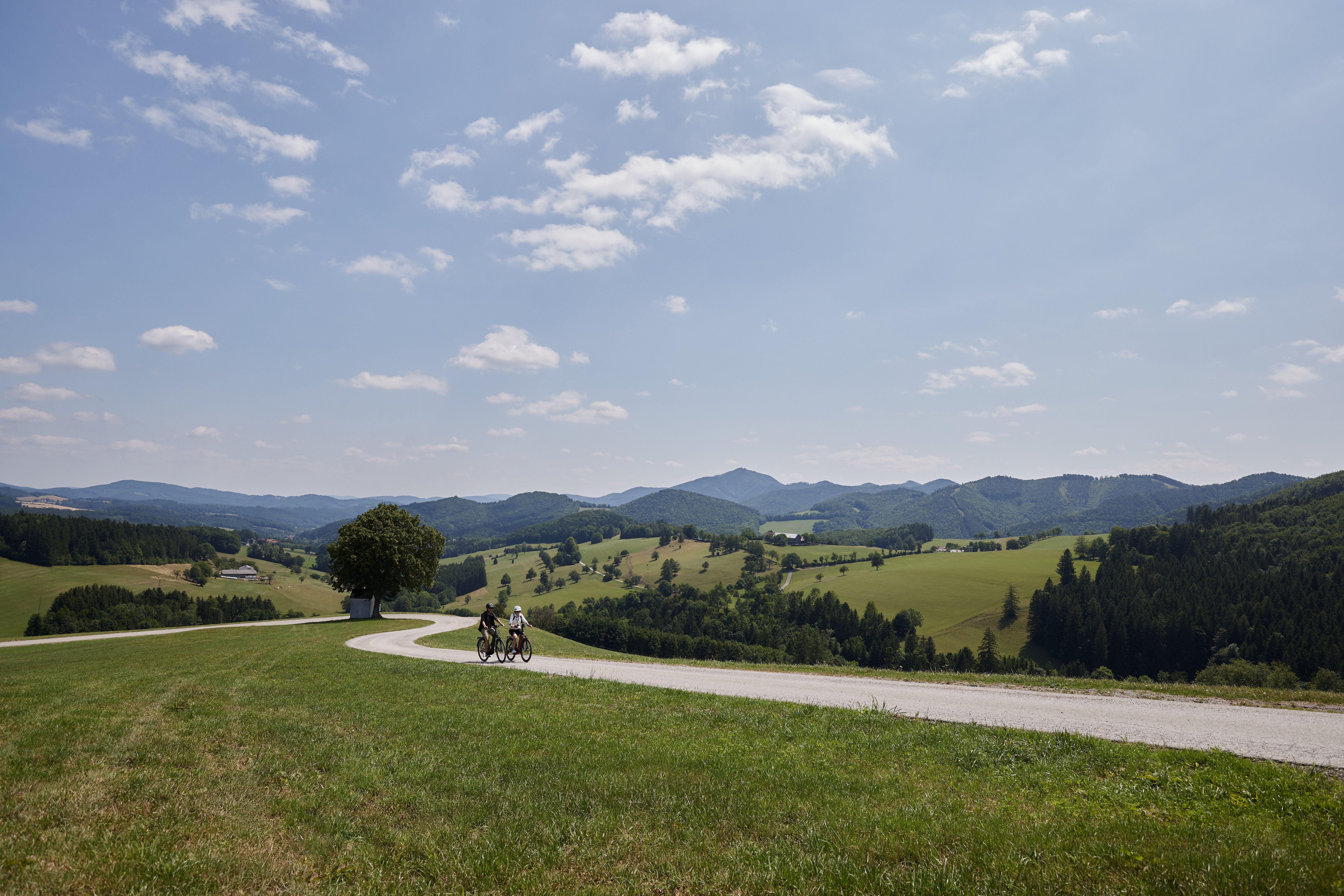 Sanfte Hügel und weitläufige Wiesen laden zu einer erholsamen Radtour ein. Die klare Luft und die malerische Landschaft schaffen eine perfekte Kulisse für unvergessliche Erlebnisse in der Natur.