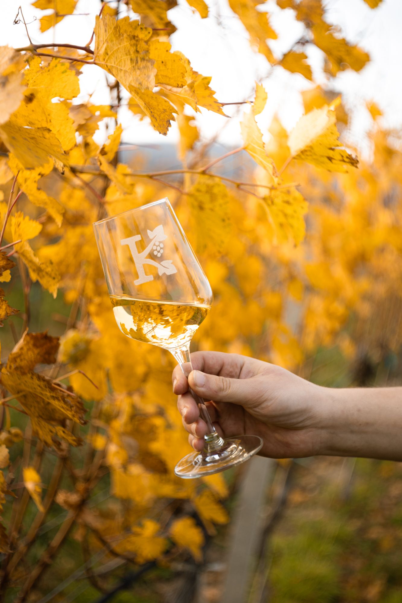 Weingut Kamper Fotocredit Max Gruber (2)