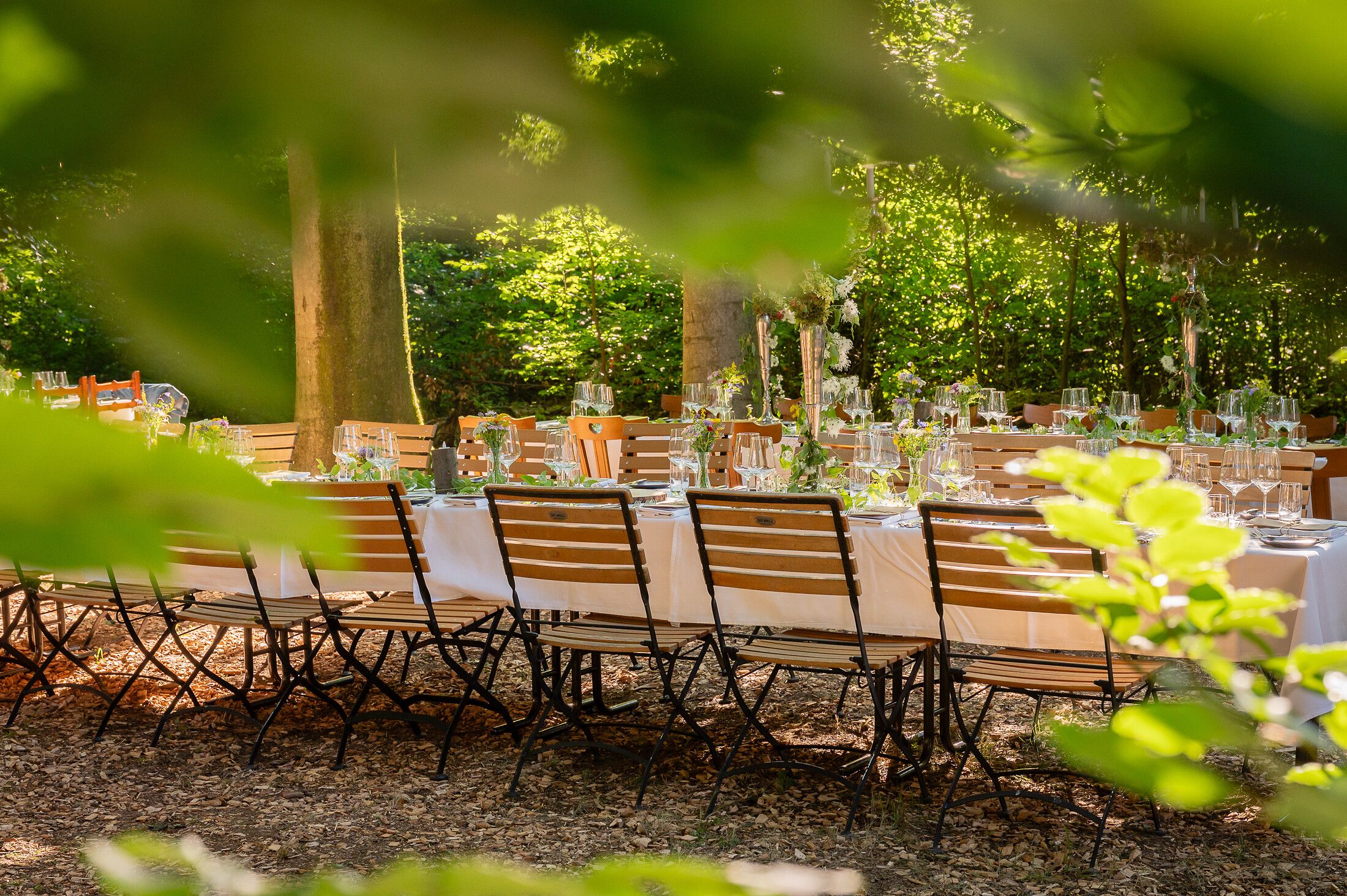Bei einem besonderen Dinner im Berghotel Tulbingerkogel schmücken weiß gedeckte Tische die Szenerie eines warmen Sommerabends. Eingebettet in die alten Buchen des Wienerwalds entfaltet sich die Magie der Kulinarik unter sanftem Sonnenlicht. Hier verschmelzen Natur und Genuss zu einem stillen Erlebnis, das die Sinne belebt. Ein ruhiger Moment, der die Seele berührt und die Einladung, den Wienerwald in seiner ganzen Pracht mit allen Sinnen zu erleben.