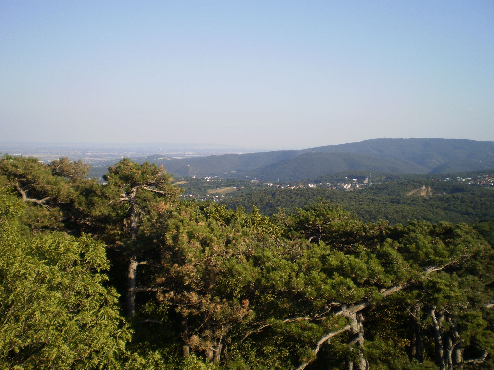 Blick von der Josefswarte auf bewaldete Hügel und ein Dorf in der Ferne.