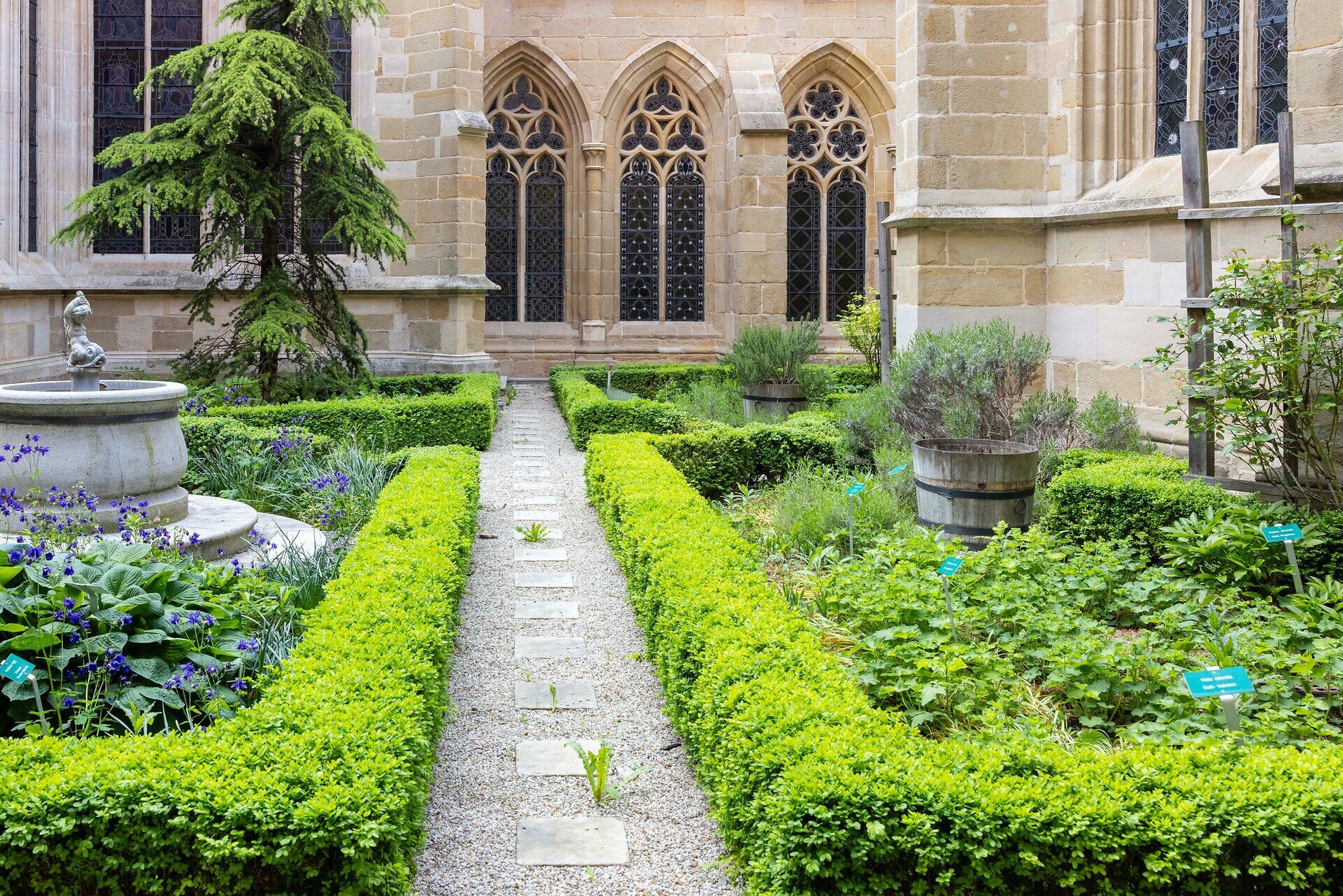 Top Ausflugsziel Stift Klosterneuburg, Innenhof mit gepflegten Hecken, Blumen, Kräutern, einem kleinen Brunnen und einem Baum.