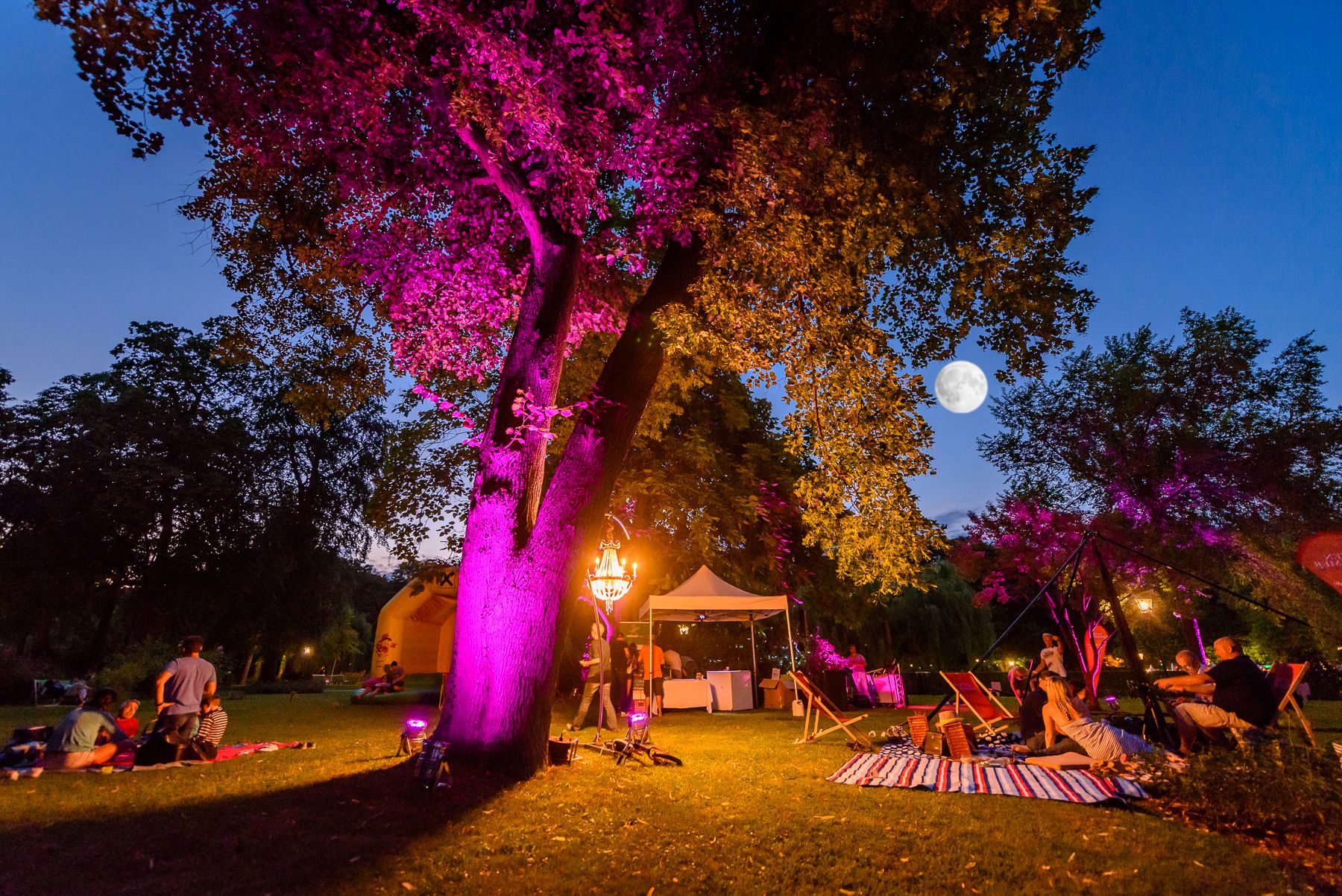Lauer Sommerabend in Baden, ein Baum ist beleuchtet in violett. 