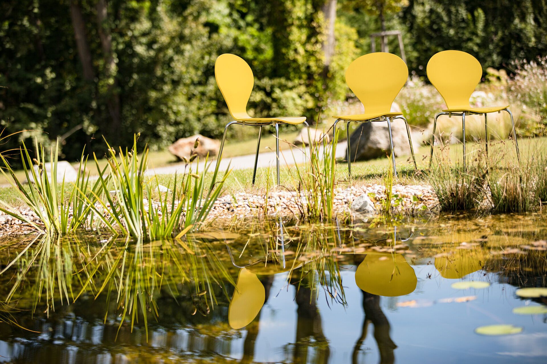 Die strahlend gelben Stühle am Ufer des ruhigen Teichs laden zum Verweilen ein und schaffen eine harmonische Verbindung zur umgebenden Natur. Umgeben von üppigem Grün und sanften Wasserflächen, bietet dieser Ort eine perfekte Kulisse für entspannte Stunden im Freien.