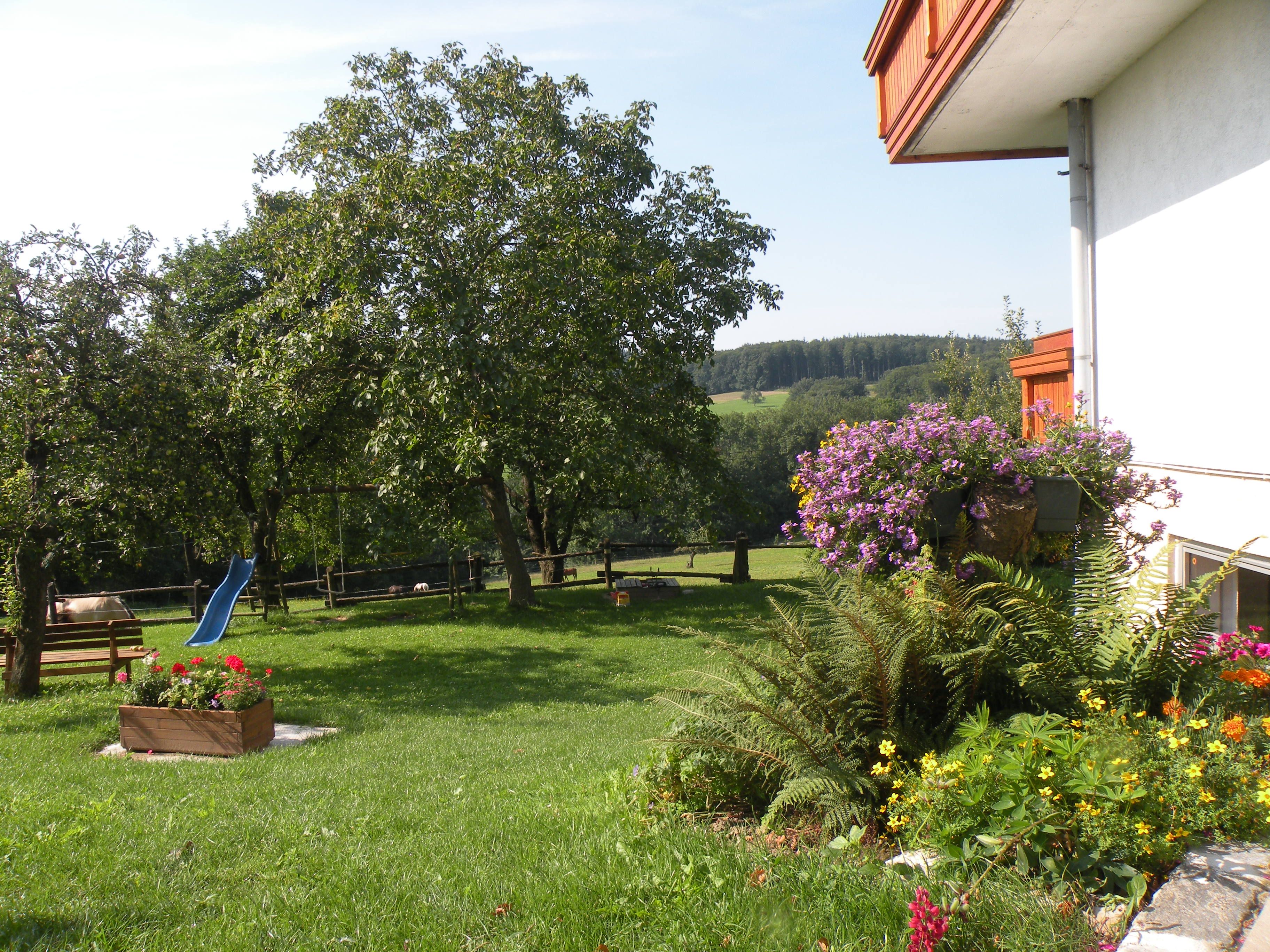 A green garden with trees, flowers and a blue slide.