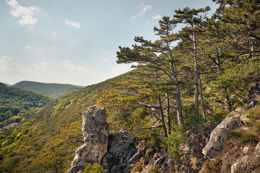 Wandern im Wienerwald
