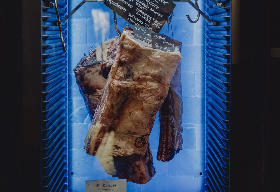 Großes Stück Fleisch in einem Reifeschrank mit blauer Beleuchtung.