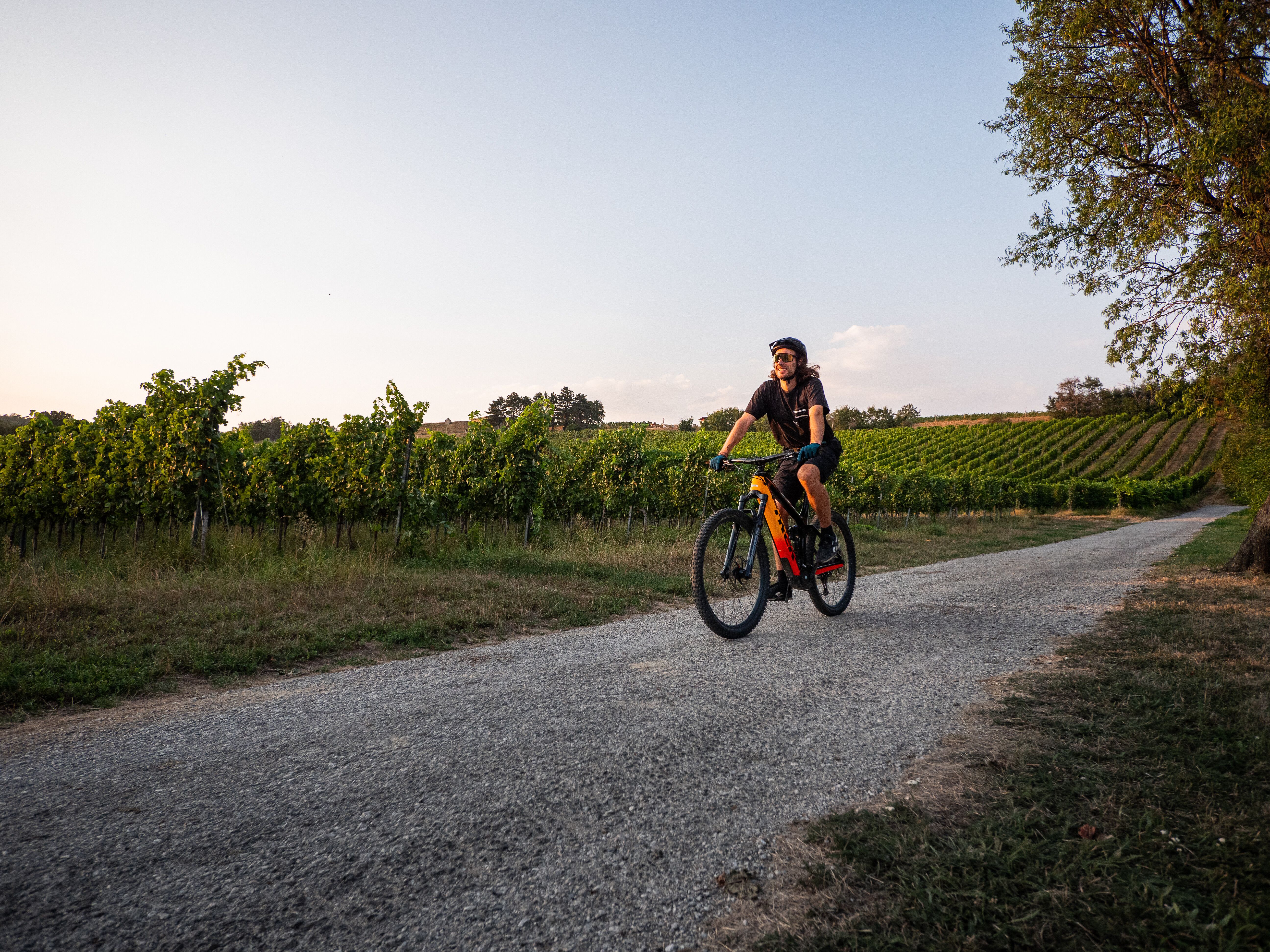 Die sanften Hügel des Wienerwaldes laden zu einem unvergesslichen Mountainbike-Abenteuer ein. Umgeben von üppigen Weinreben und der warmen Abendsonne, spürt man die Freiheit und den Genuss der Natur. Hier wird jeder Tritt in die Pedale zu einem Erlebnis der besonderen Art.