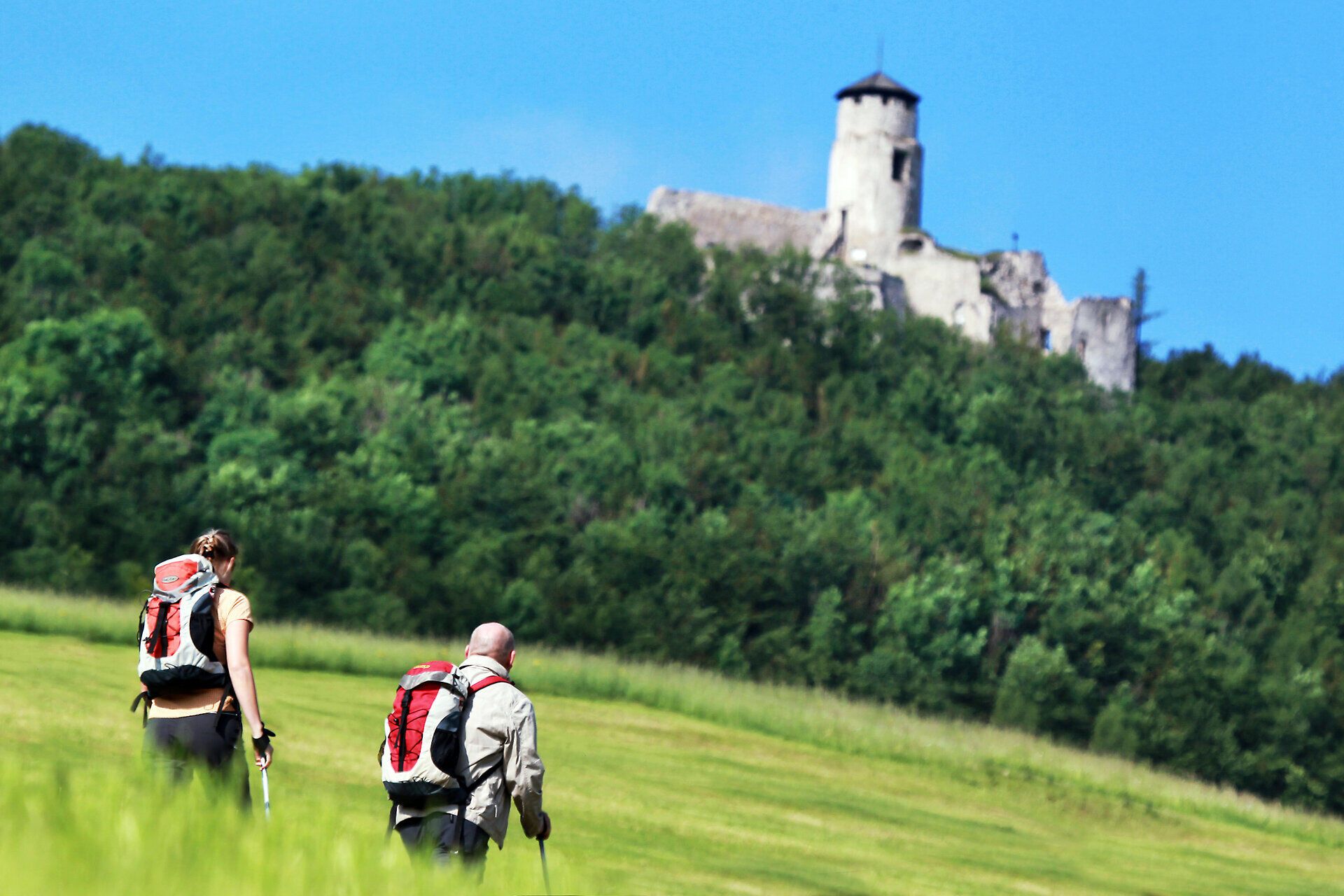 Ein Paar wandert durch die sanften Hügel des Mostviertels, umgeben von üppigem Grün und dem strahlend blauen Himmel. In der Ferne thront die majestätische Araburg, die mit ihrer historischen Architektur die Wanderer in eine andere Zeit entführt. Diese malerische Kulisse lädt dazu ein, die Seele baumeln zu lassen und die Schönheit der Natur zu genießen.