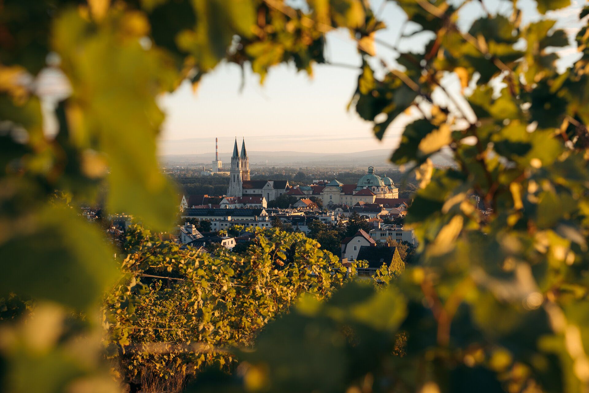 Die sanften Hügel, bedeckt mit üppigen Weinreben, laden zu einem entspannenden Spaziergang ein. Im Hintergrund erheben sich majestätische Türme, die die historische Stadt umrahmen und eine malerische Kulisse bieten. Hier verschmelzen Natur und Kultur zu einem unvergesslichen Erlebnis.