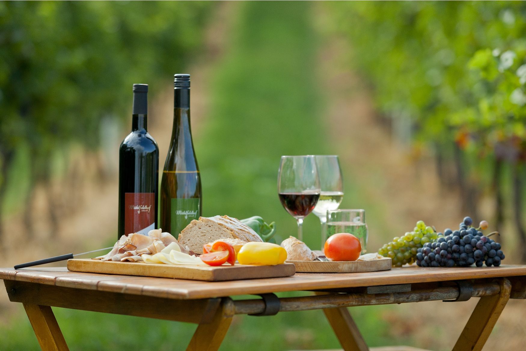 Picknicktisch mit Weinflaschen, Gläsern, Brot, Käse, Schinken und Trauben in einem Weinberg.