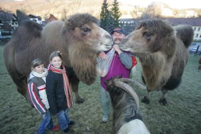 Zwei Kinder und ein Mann stehen mit zwei Kamelen und einer Ziege auf einer Wiese.