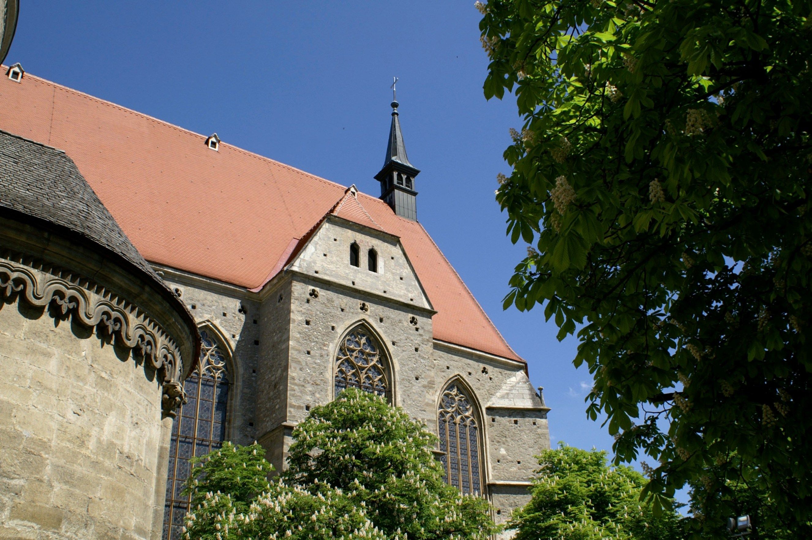 Kirche St. Othmar mit rotem Dach und grünem Baum im Vordergrund.