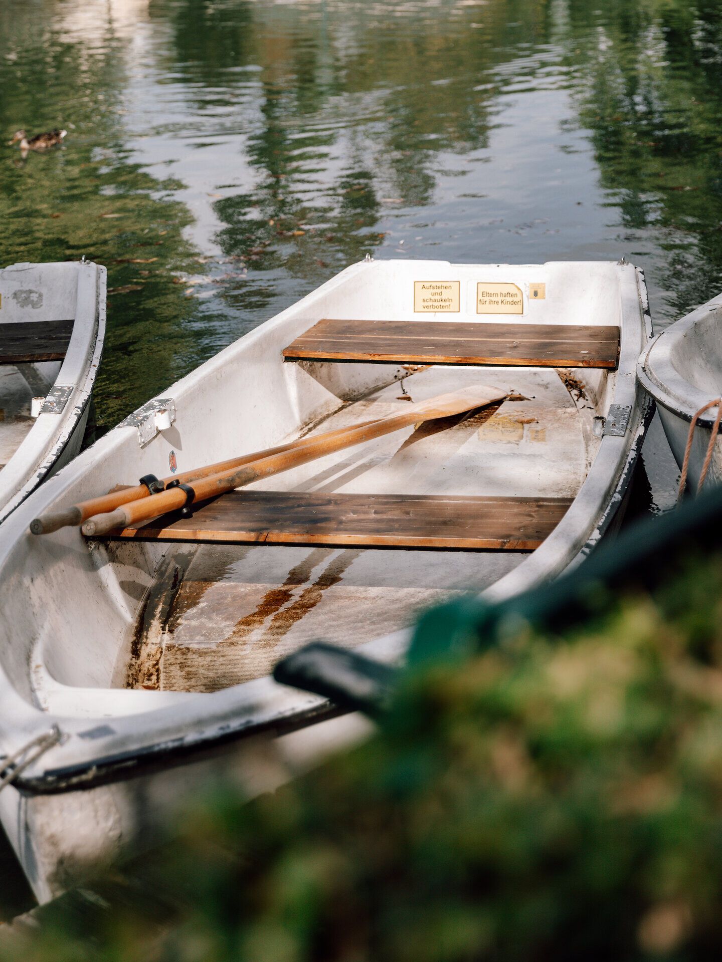 Die sanften Wellen des Wassers spiegeln die umgebende Natur wider, während die Ruderboote sanft im Hafen schaukeln. Hier im Doblhoffpark können Besucher die Ruhe und Schönheit des Wienerwaldes genießen, umgeben von üppigem Grün und dem Gesang der Vögel.