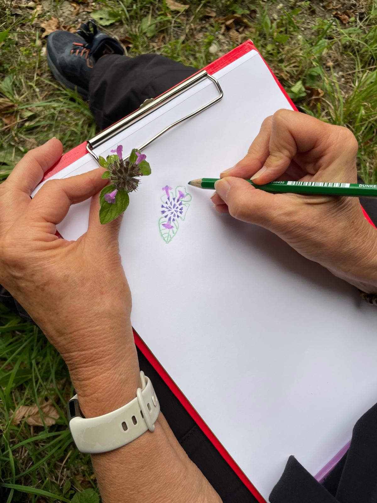 Zeichnen in der Natur