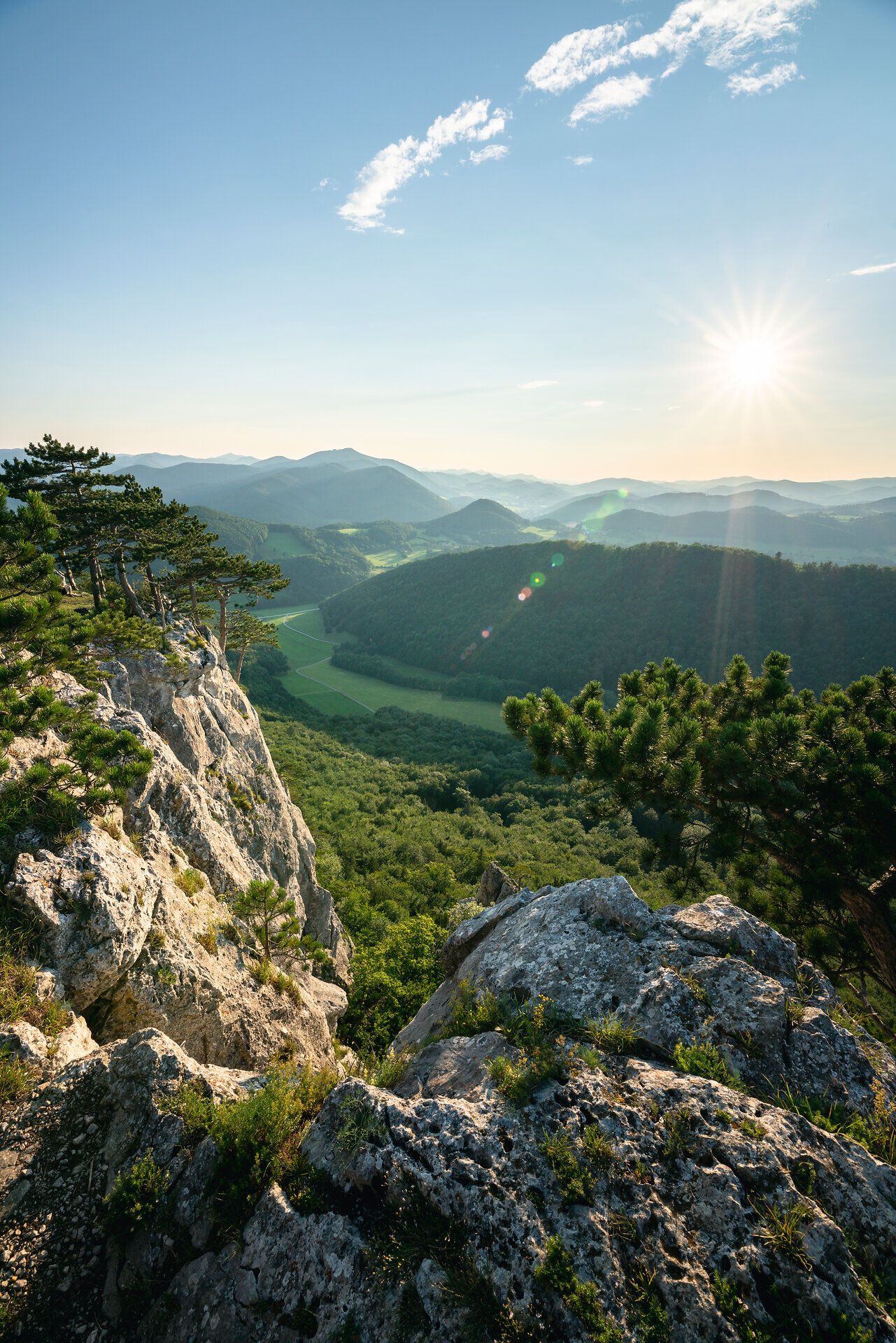 Die sanften Hügel des Wienerwaldes breiten sich majestätisch aus, während die Sonne sanft über die Landschaft strahlt. Ein Gefühl von Freiheit und Abenteuer erfüllt die Luft, während die frische Brise durch die Bäume weht und die atemberaubende Aussicht auf die grünen Täler und sanften Berge verzaubert.