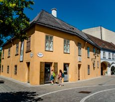 Beethovenhaus