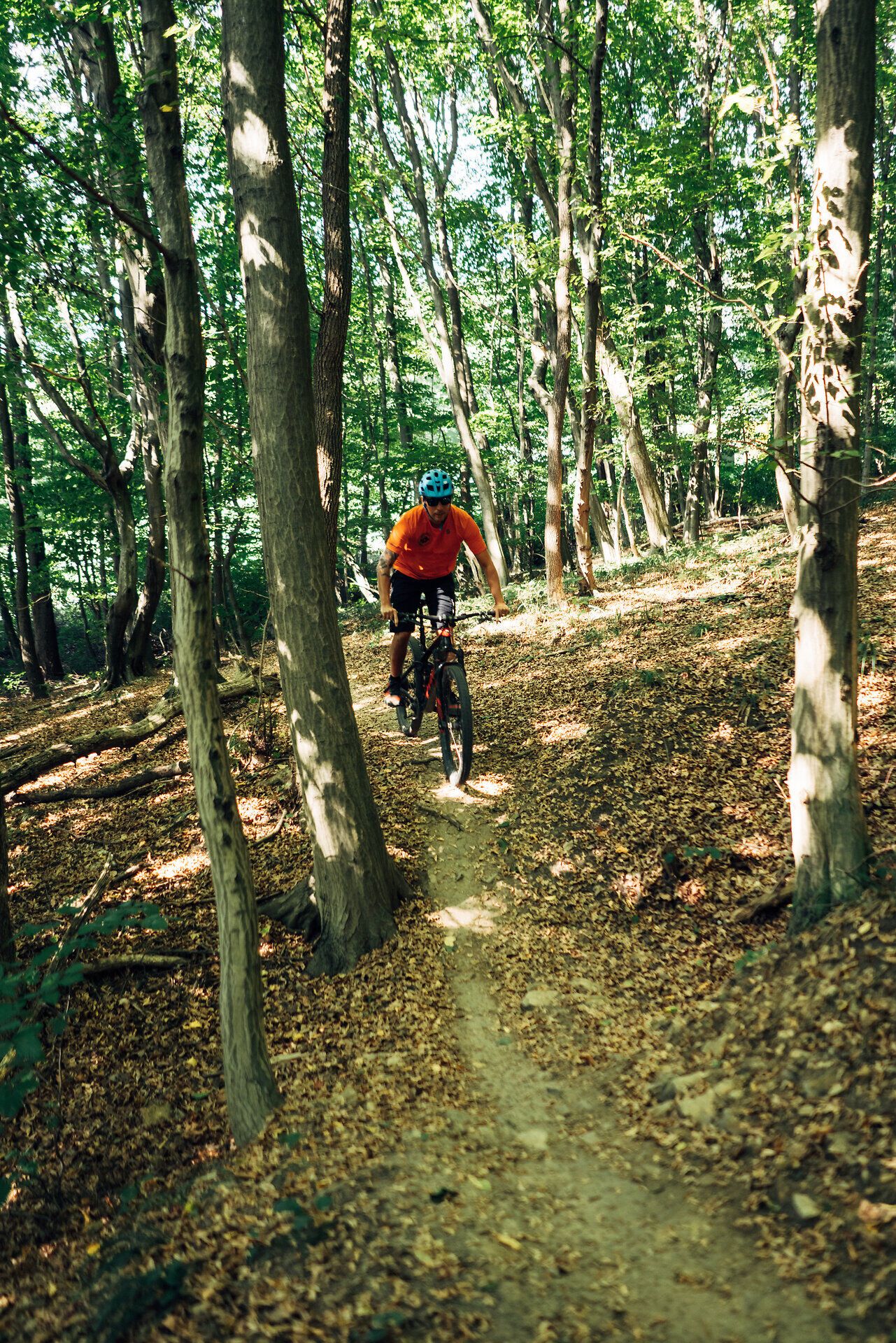 Ein Mountainbiker gleitet geschmeidig über den schmalen Pfad, umgeben von üppigem Grün und dem sanften Rascheln der Blätter. Die Sonne bricht durch das Blätterdach und taucht die Szenerie in ein warmes Licht, während die frische Waldluft die Sinne belebt. Hier im Wienerwald wird das Abenteuer zum unvergesslichen Erlebnis.
