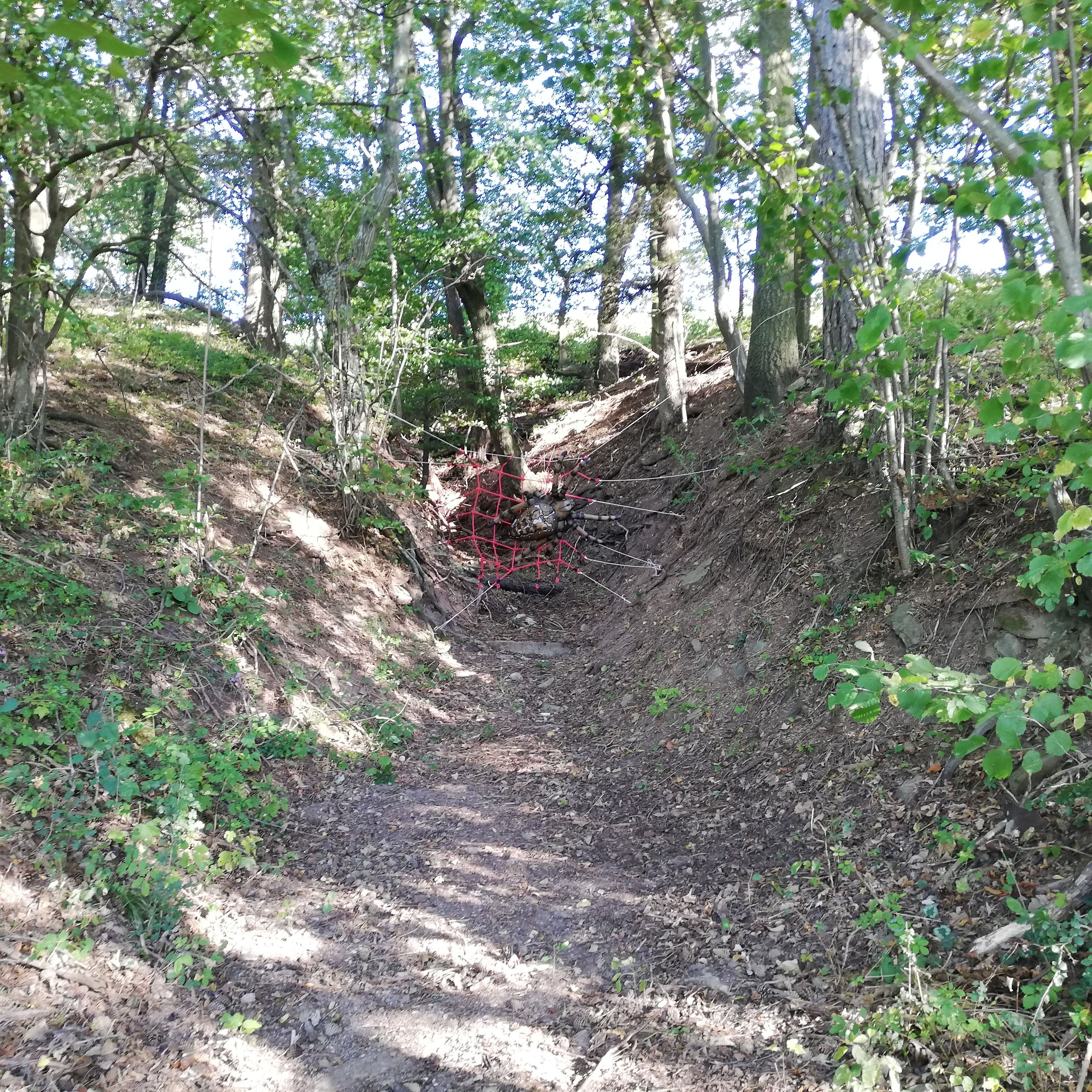 Bogenschieß-Parcours in Nöstach