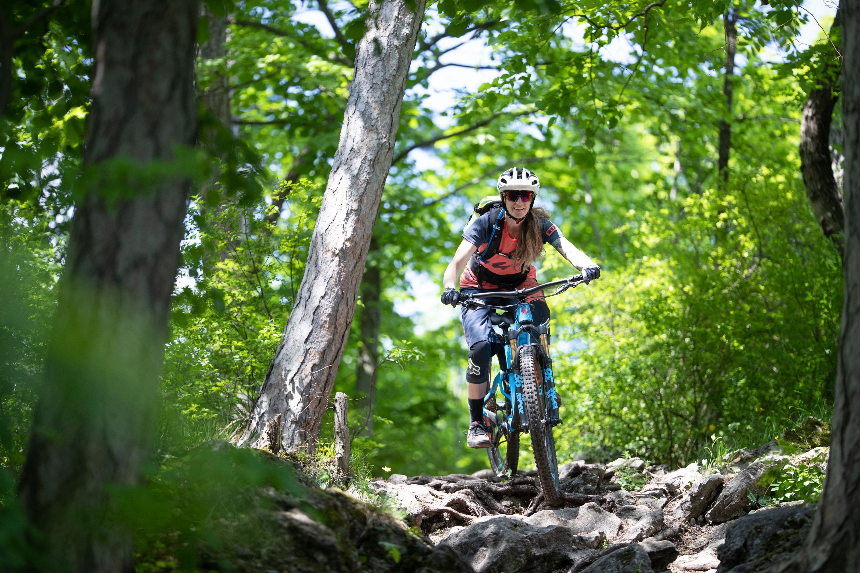 MTB im Wienerwald