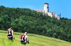 Ein Paar wandert durch die sanften Hügel des Mostviertels, umgeben von üppigem Grün und dem strahlend blauen Himmel. In der Ferne thront die majestätische Araburg, die mit ihrer historischen Architektur die Wanderer in eine andere Zeit entführt. Diese malerische Kulisse lädt dazu ein, die Seele baumeln zu lassen und die Schönheit der Natur zu genießen.