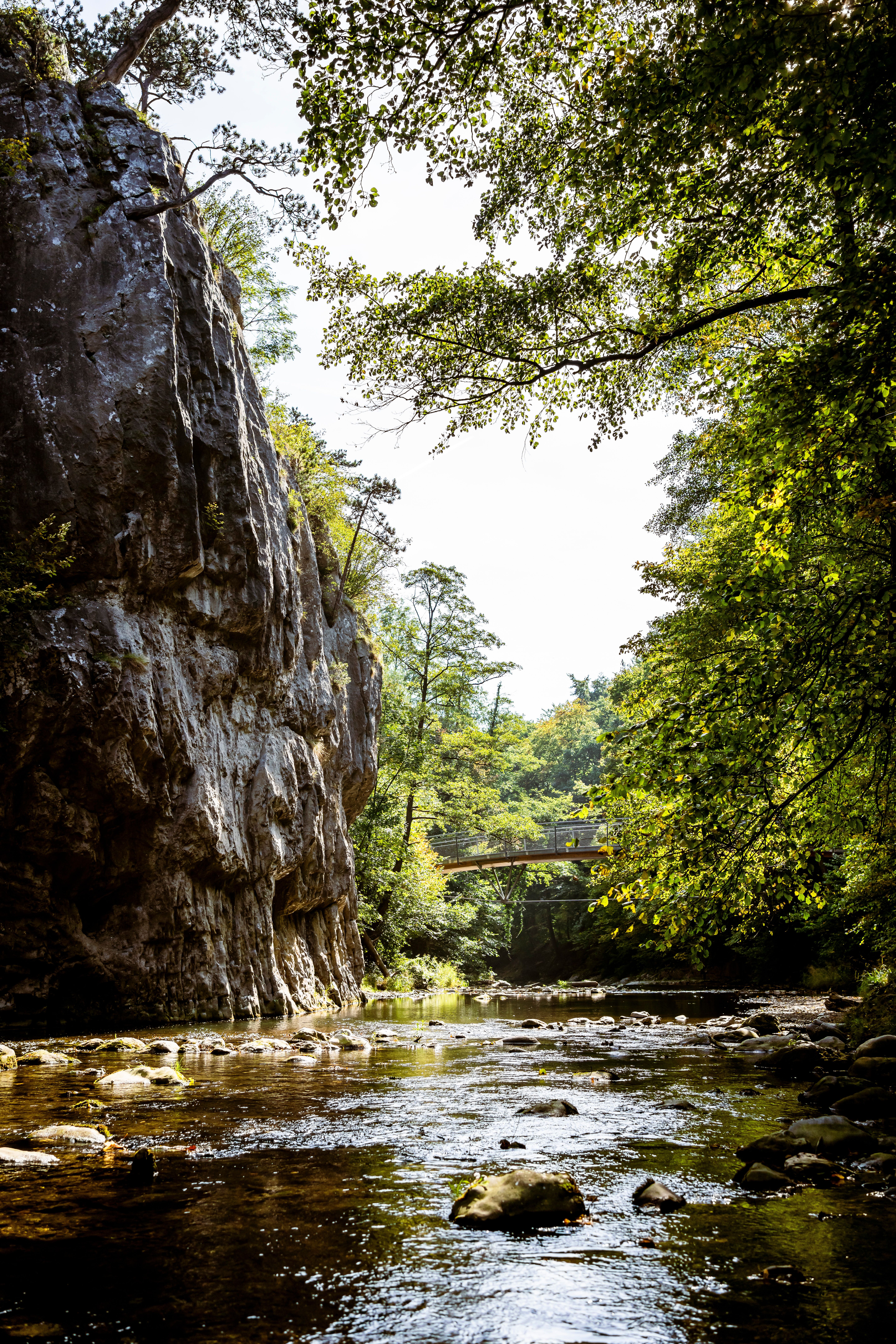 Das Helenental im Wienerwald verzaubert mit seiner malerischen Landschaft, wo sanfte Hügel und dichte Wälder harmonisch aufeinander treffen. Der glitzernde Fluss schlängelt sich durch die Natur und lädt zu erholsamen Spaziergängen ein, während die bunten Blätter der Bäume im Herbst eine warme Atmosphäre schaffen.