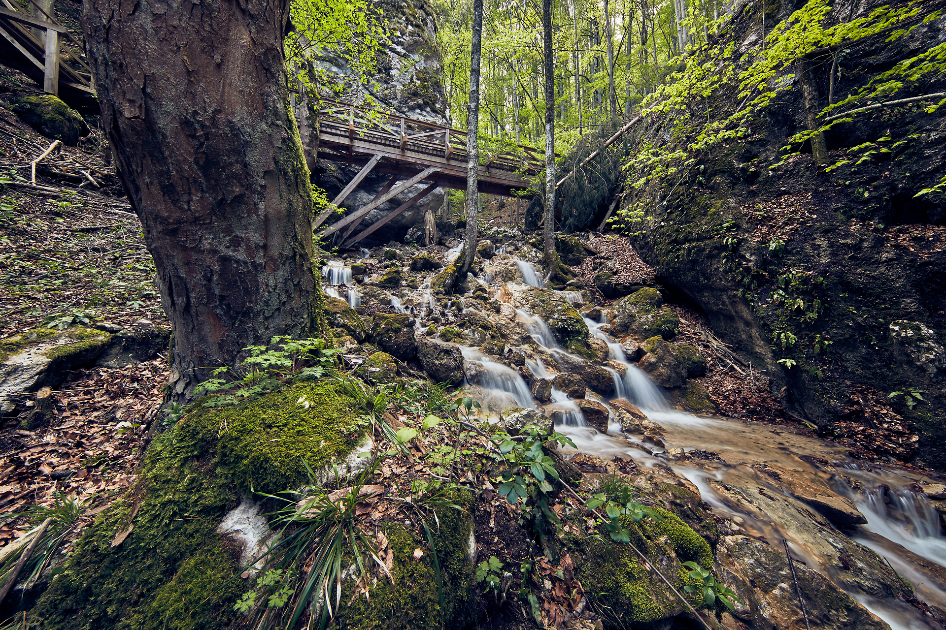 Die sanften Wasserfälle plätschern melodisch zwischen moosbedeckten Steinen und laden zu einer erfrischenden Auszeit in der Natur ein. Umgeben von üppigem Grün und hohen Bäumen, bietet die Klamm eine perfekte Kulisse für entspannte Wanderungen und unvergessliche Erlebnisse im Sommer.