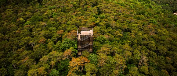 SS_Theresienwarte, © Sascha Schernthaner_Wienerwald Tourismus