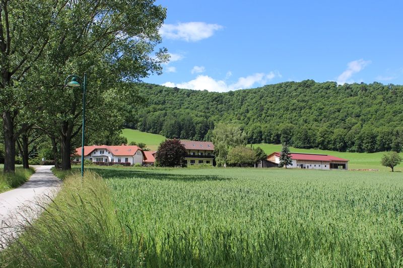 Unser Hof